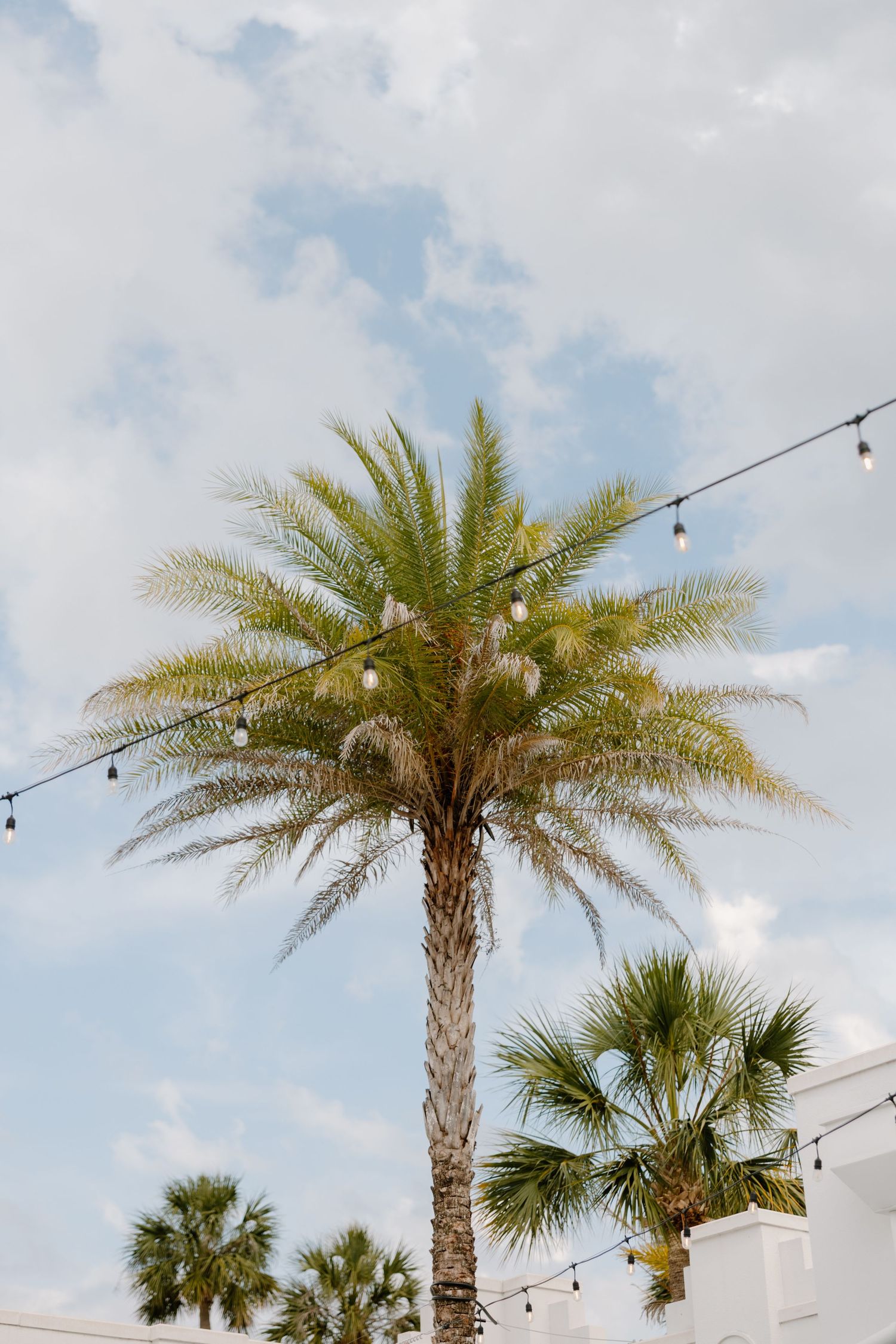 clay theatre wedding Jacksonville, catholic wedding photography, Florida catholic wedding photographers, the delac collective