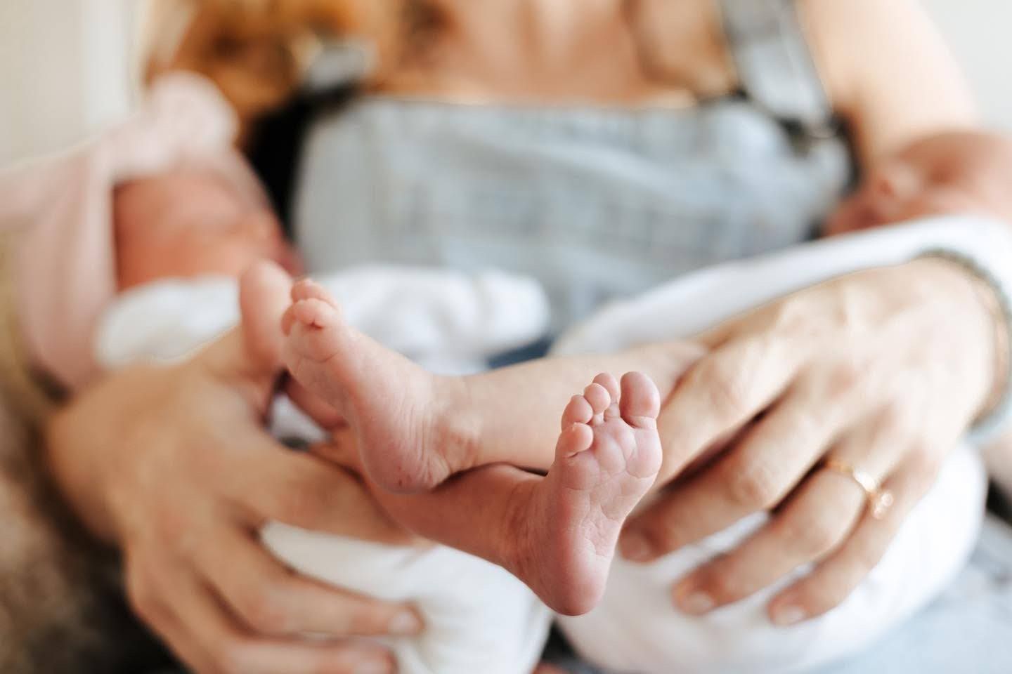 The Delac Collective, Jacksonville newborn photographers, Jacksonville family photographers
