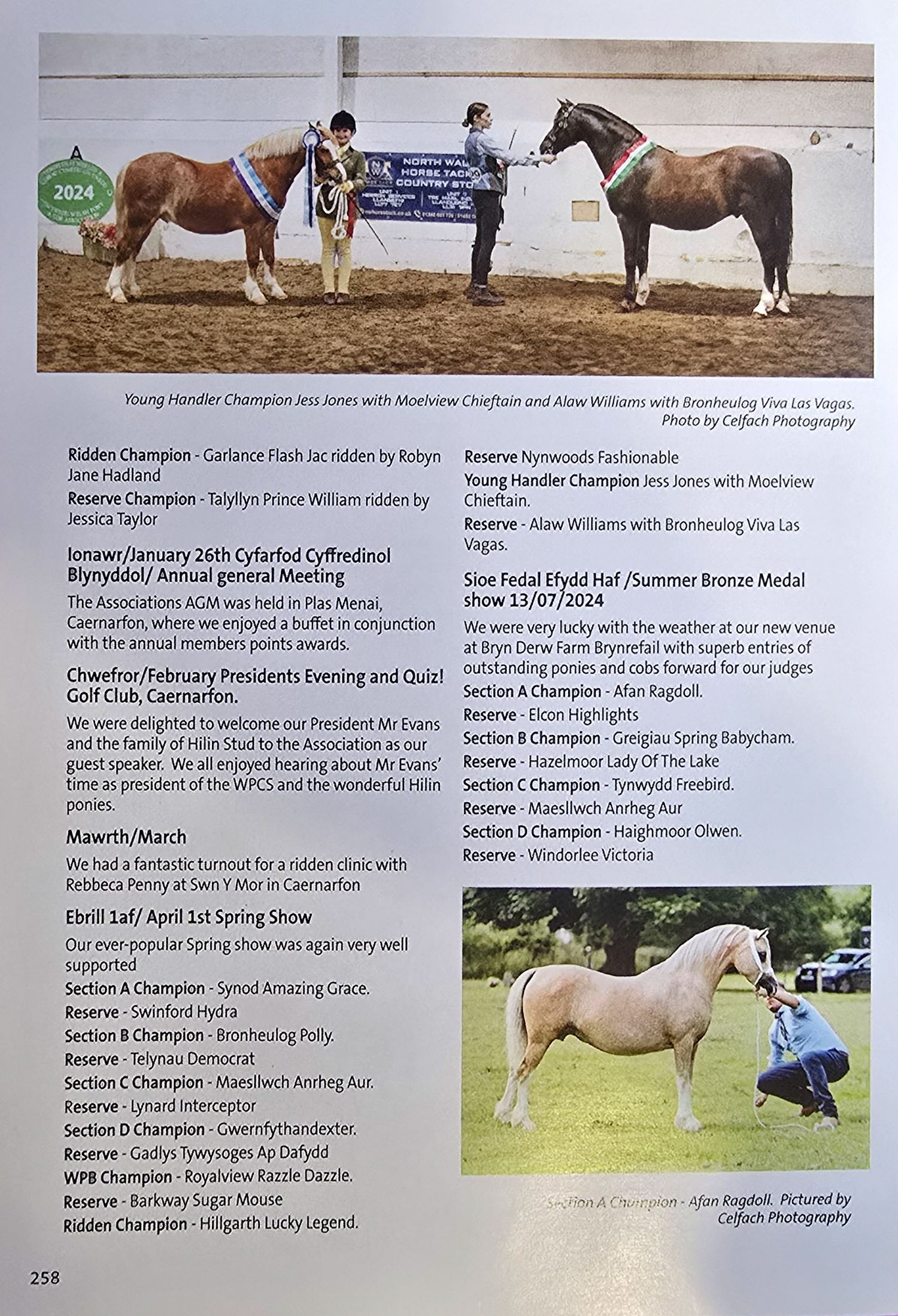 Collage of show pony photographs with text descriptions and competition details displayed in a catalog layout.