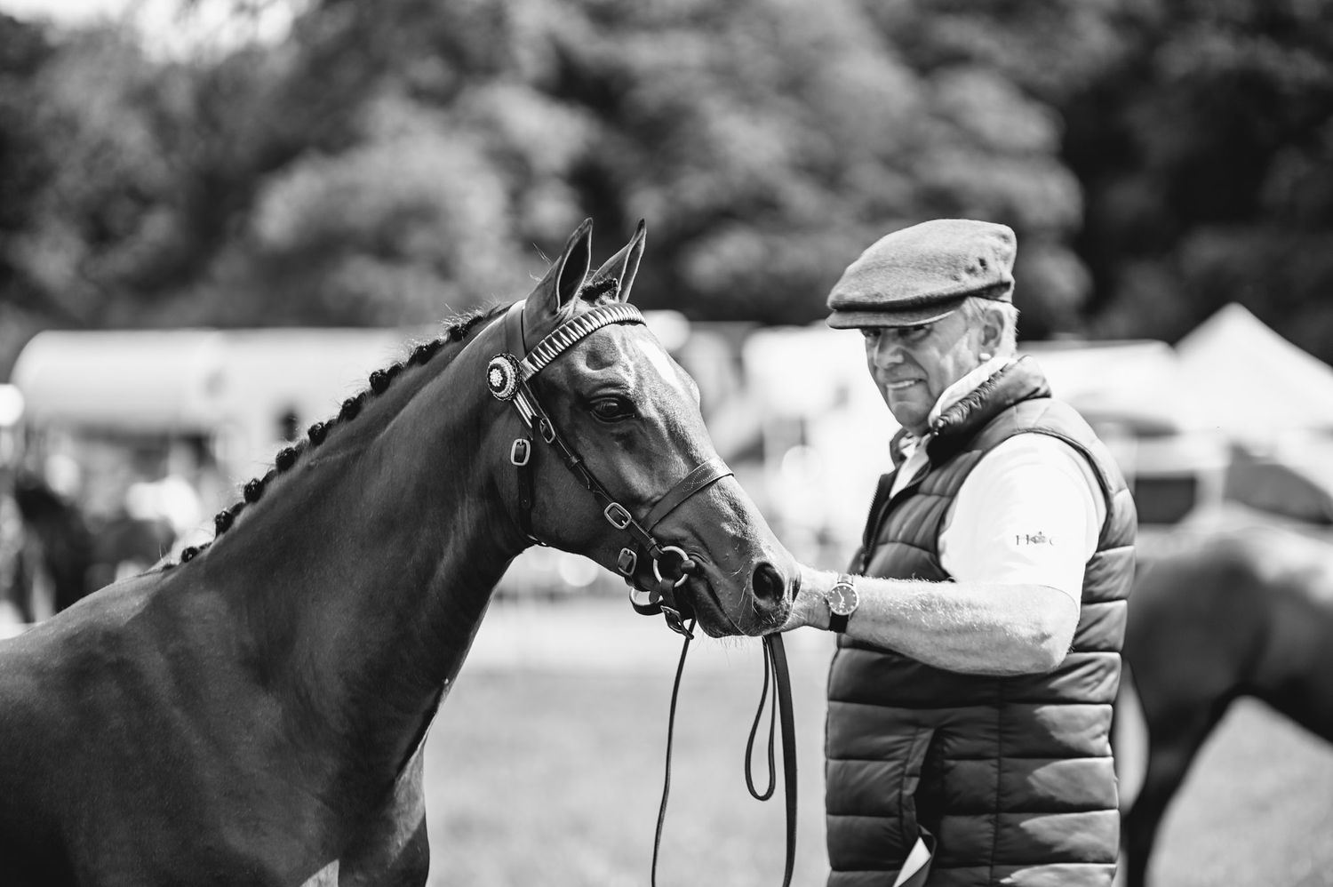 Black and white photos of horses being handled and prepared at an equestrian event.