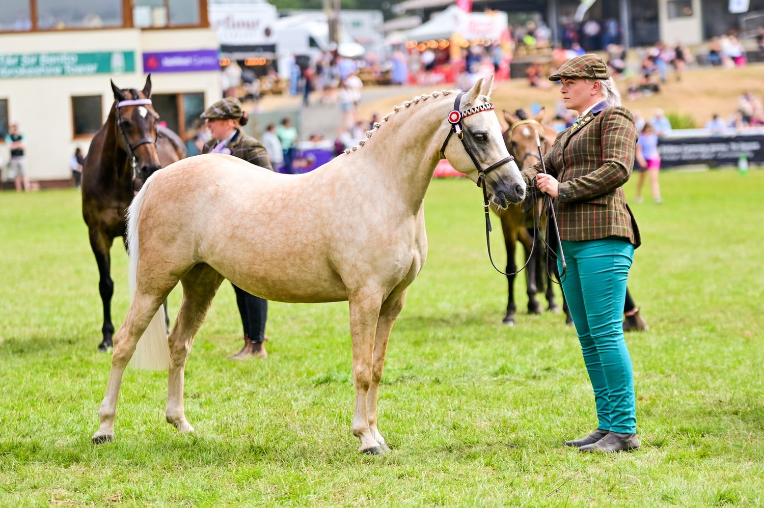 Handlers leading light-colored horses across a sunny grass field during an equestrian show.