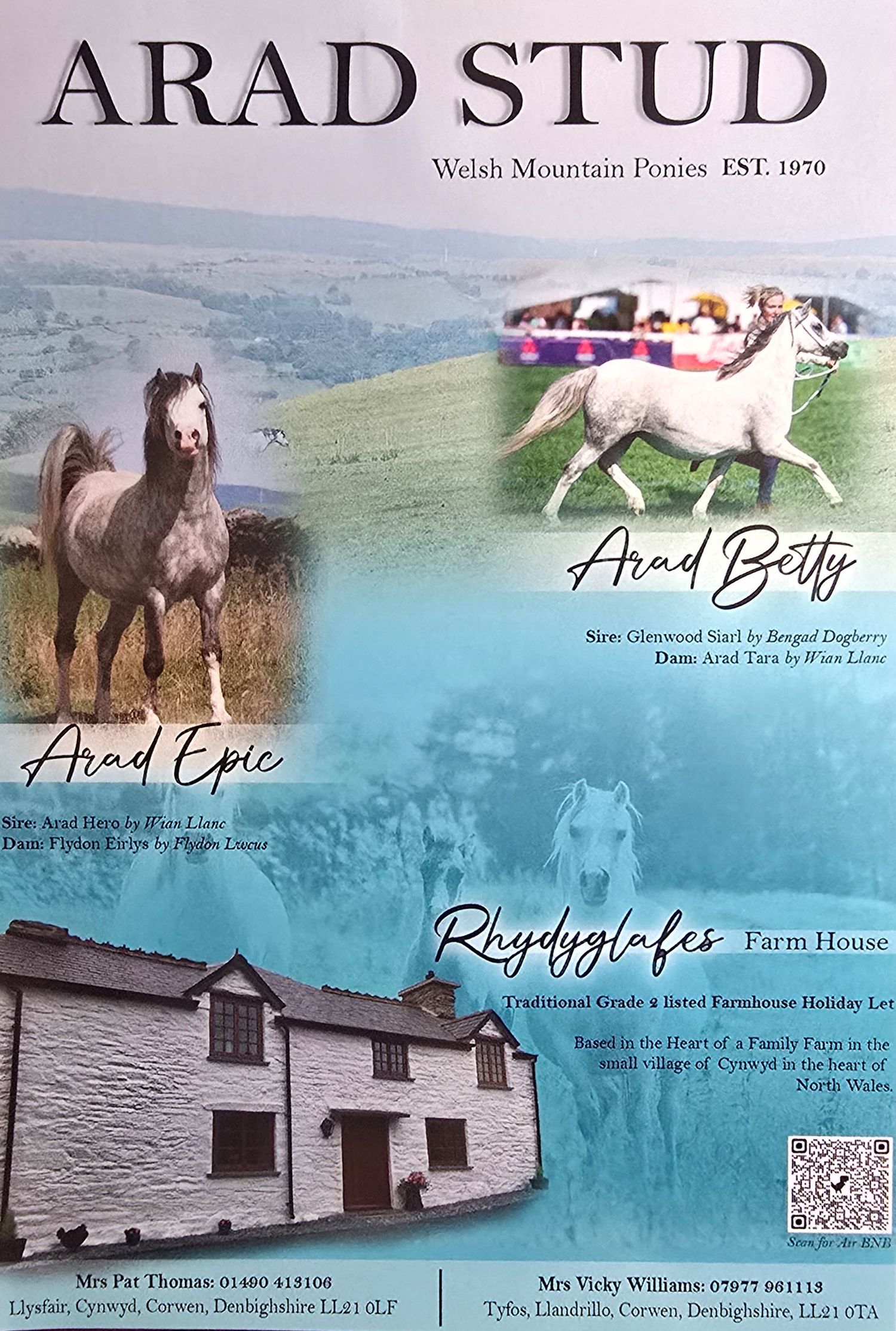 A website banner for Arad Stud farm featuring scenic countryside views and horse photography.