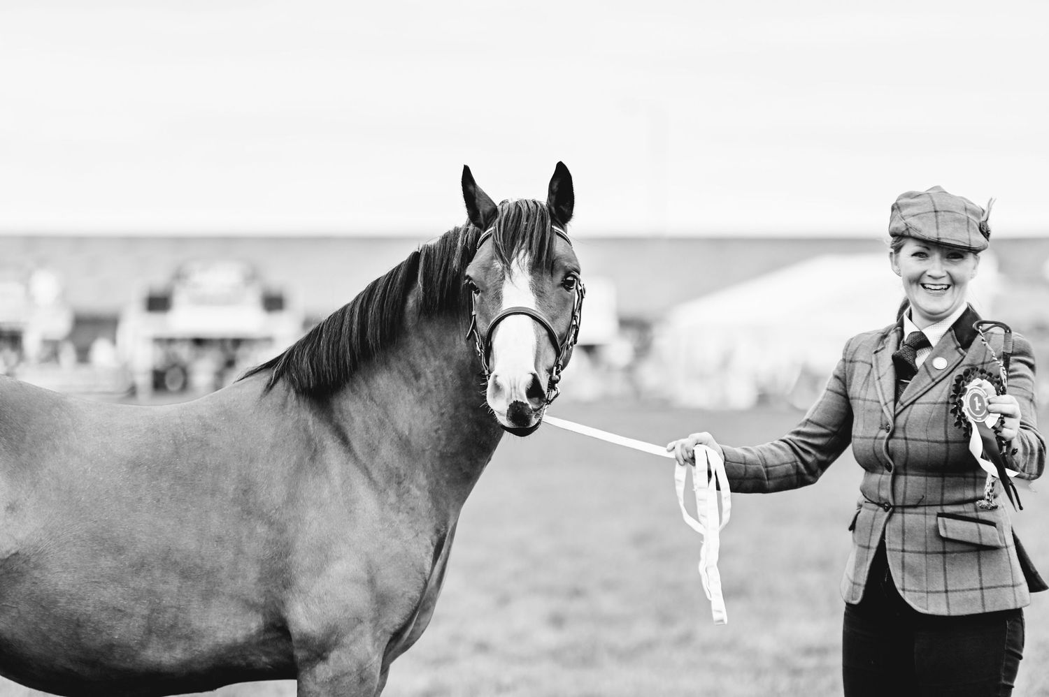 Black and white images of horses being presented at a vintage show or competition.