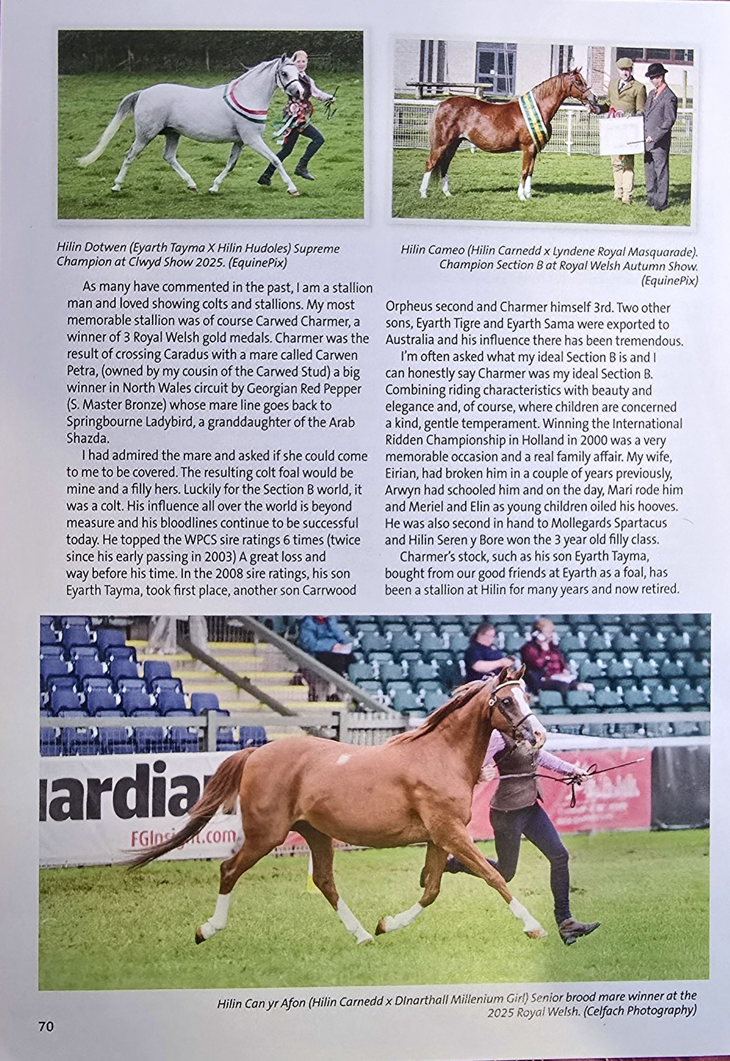 A series of equestrian competition photos showing horses and riders performing dressage movements in various arenas.