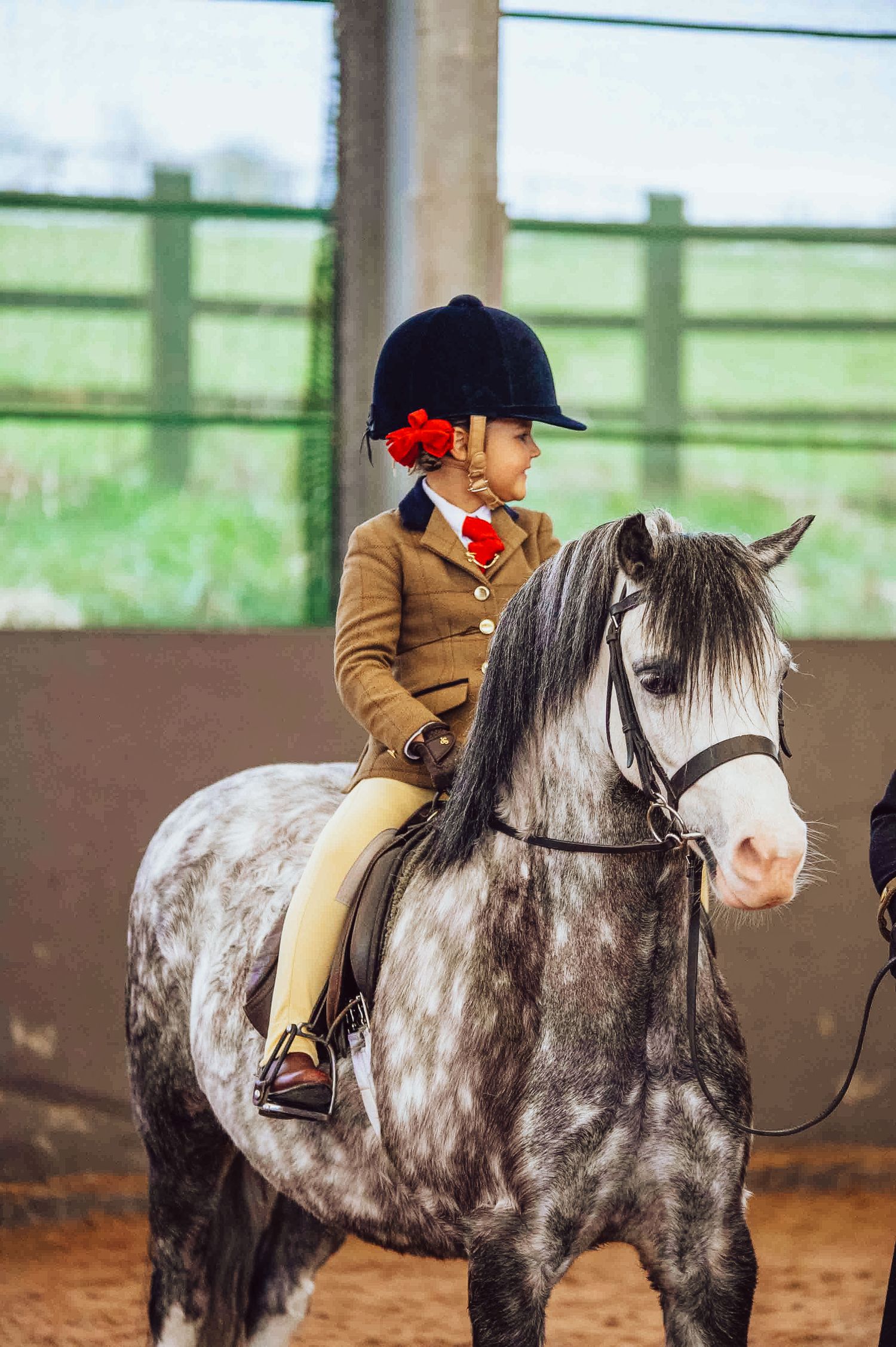 Dappled gray horse and rider practicing in an indoor arena with wooden fencing.
