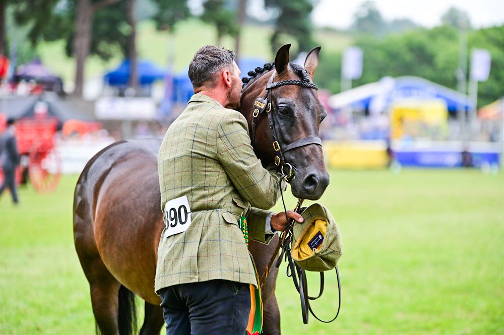 Horses and handlers line up for judging at an outdoor equestrian show on a grassy field.