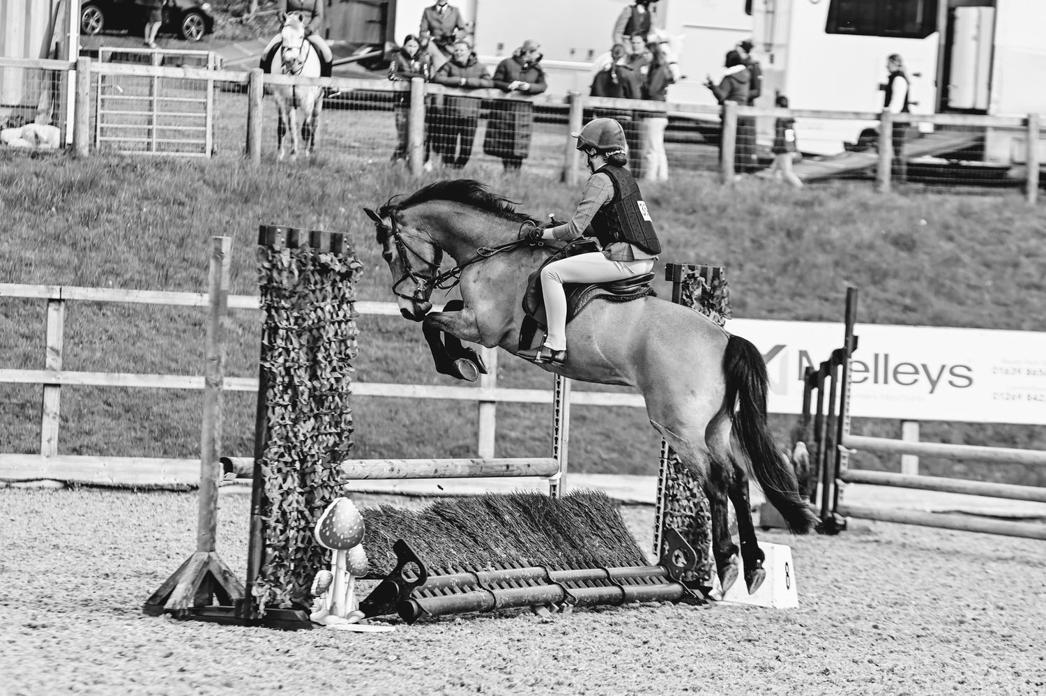 Equestrian show jumping competition with multiple riders practicing jumps in an arena.
