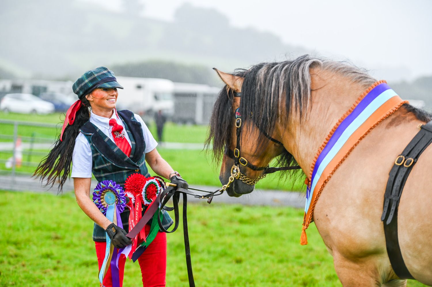 Horse and handler at a county show event on grassy field with buildings in background.