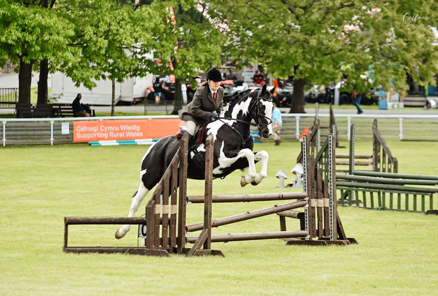 Horse and rider clearing a show jumping fence on a grass course during competition.