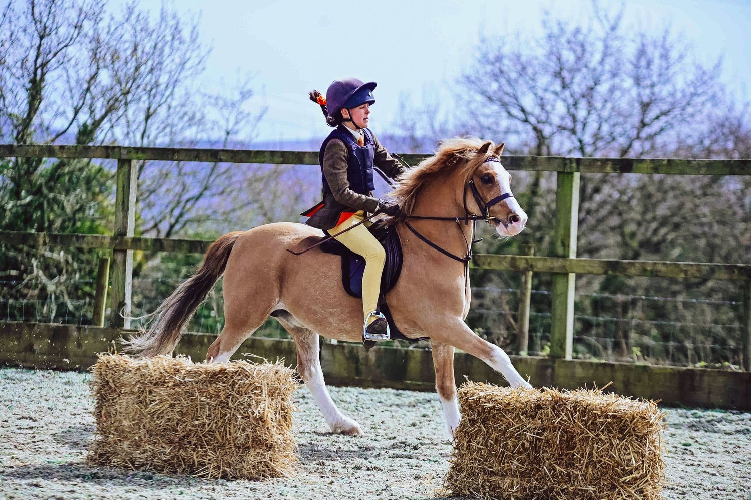 Horse and rider navigating hay bale obstacles during an equestrian training session.