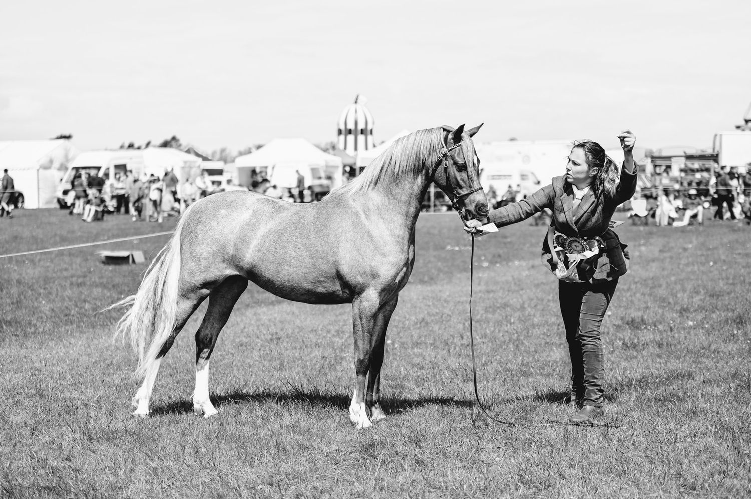 Vintage black and white image of horses being judged at a countryside show event.