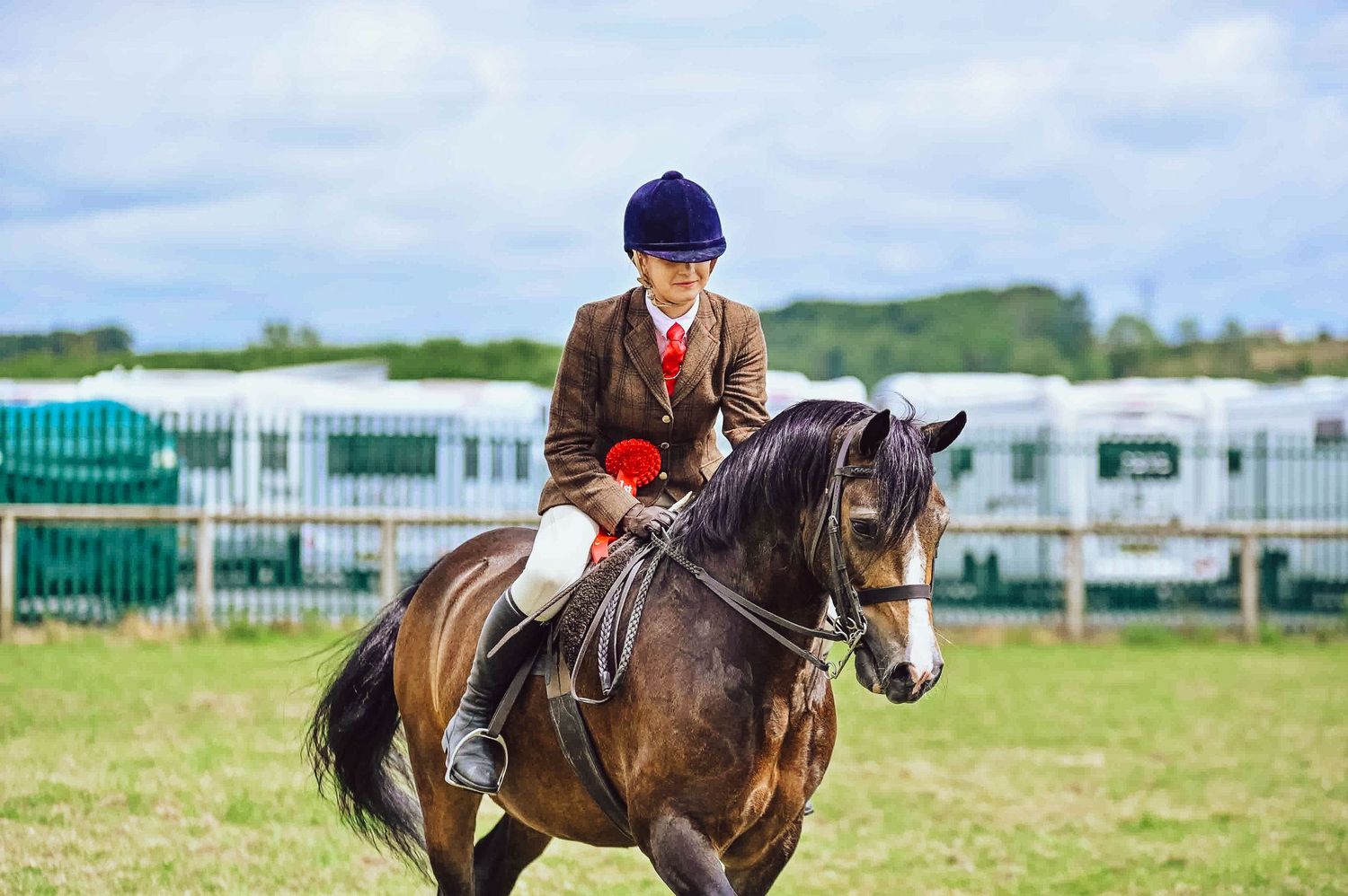 Horse and rider performing in an outdoor equestrian competition with green fields in background.