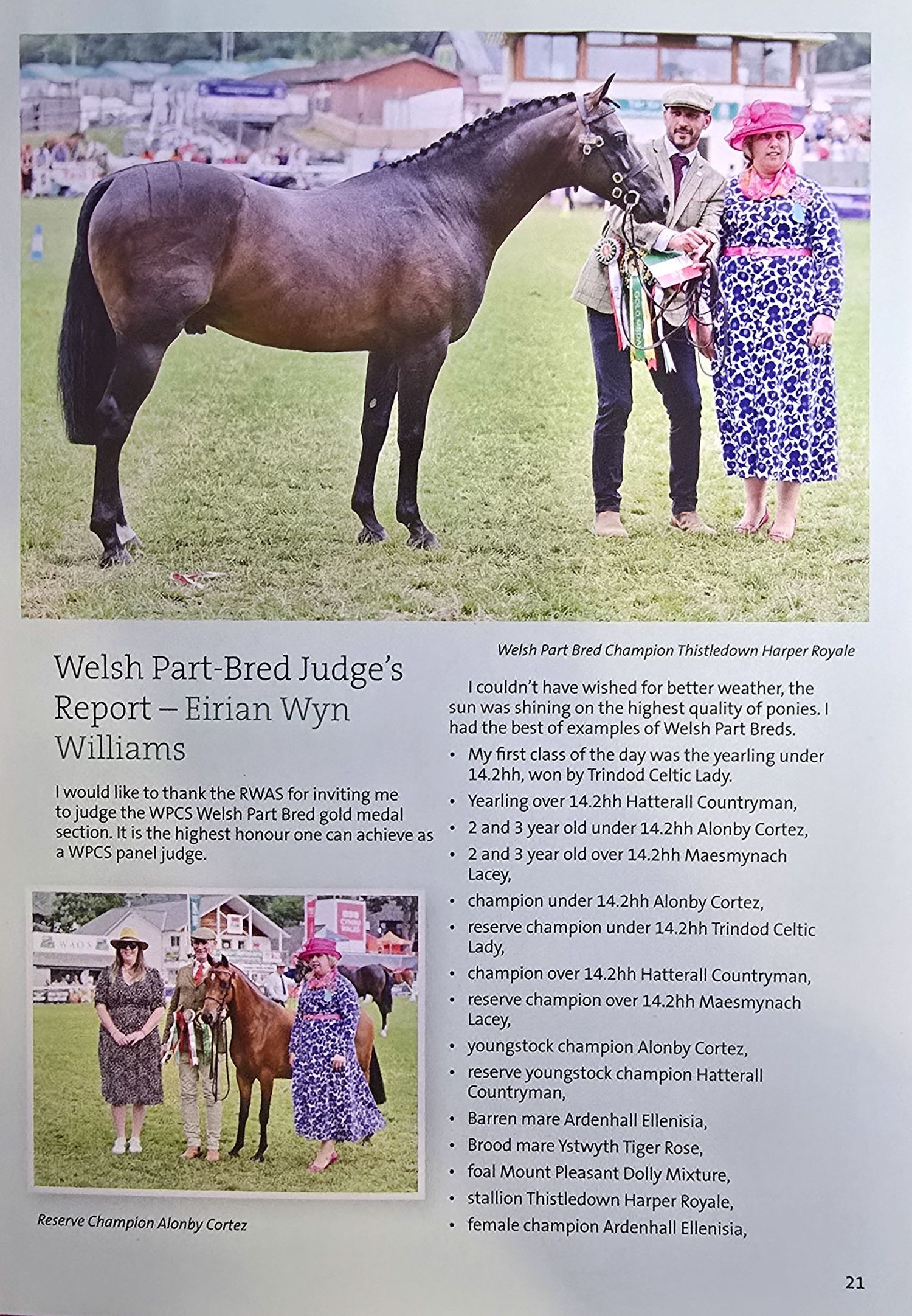 A series of horse show competition photos arranged in a collage showing Welsh ponies and their handlers in a grassy arena.