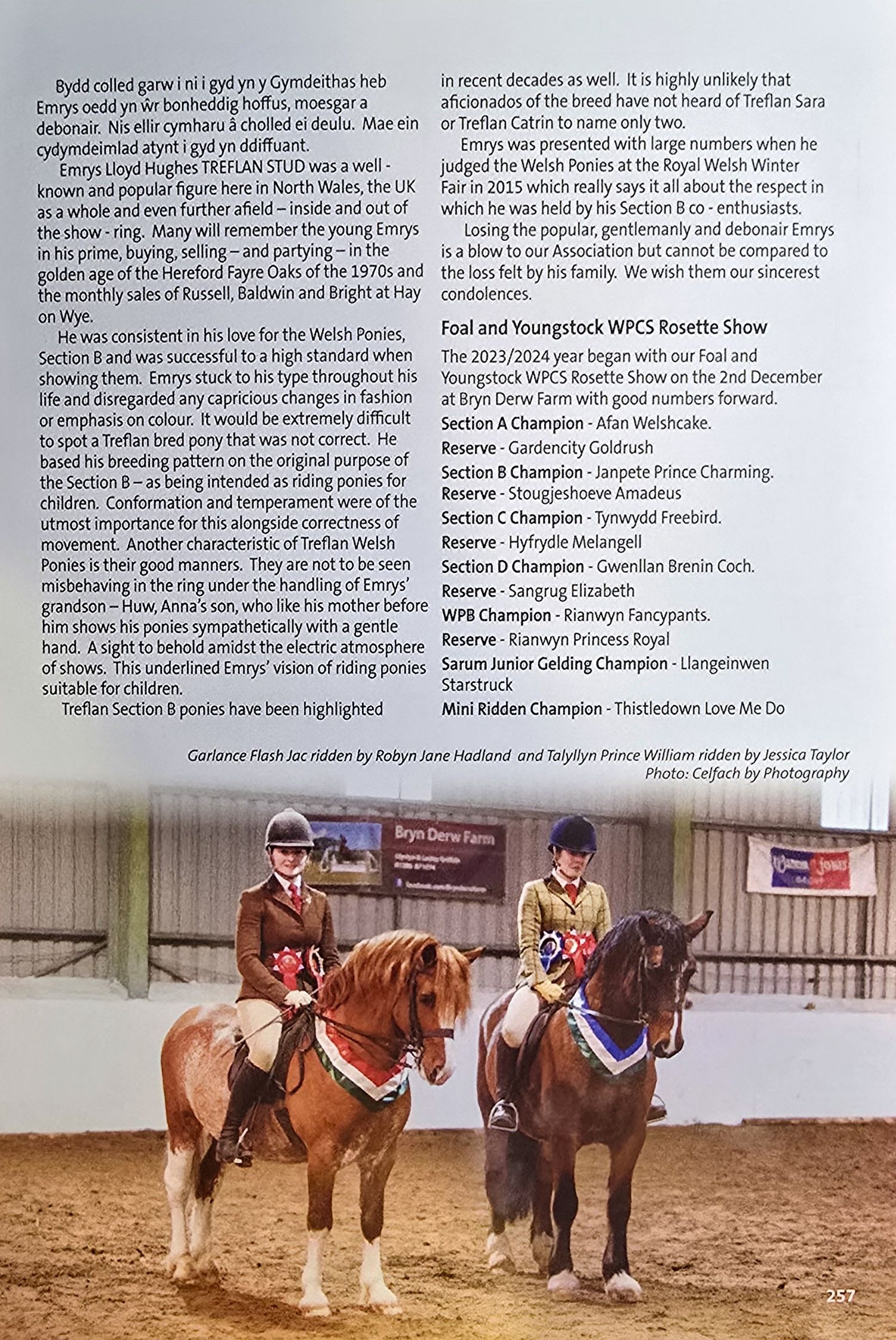 Multiple horse show competition photographs arranged in a grid format showing equestrian events and winners.
