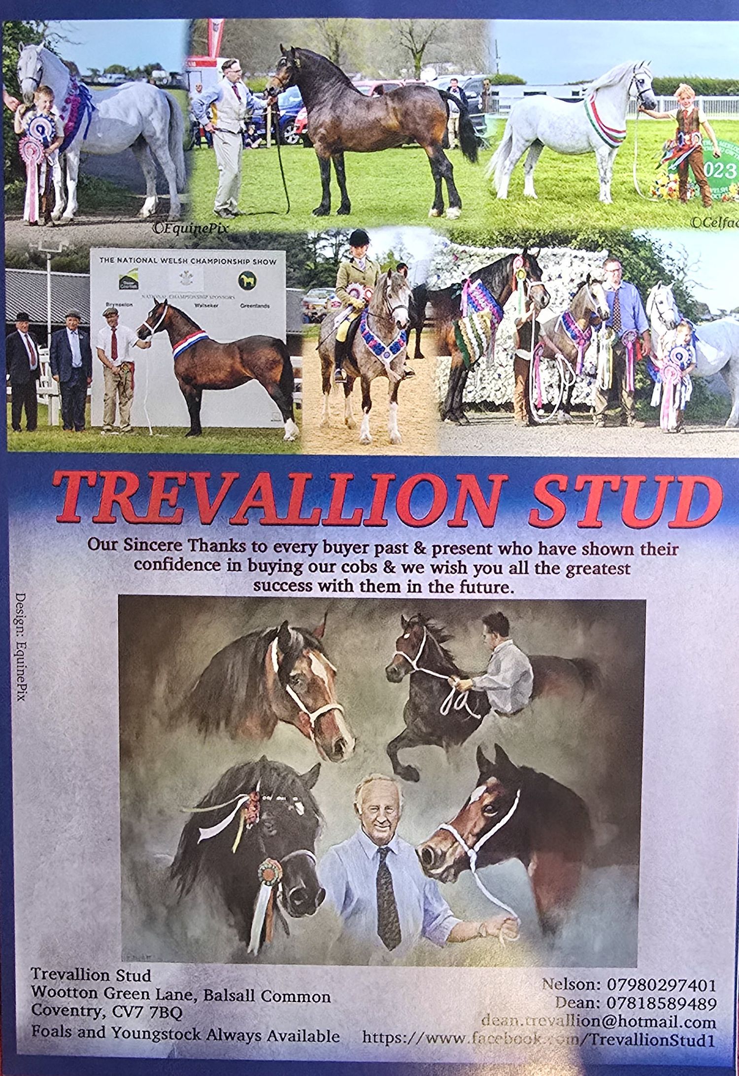 A collection of equestrian photos showcasing horses and riders at Trevallion Stud farm.