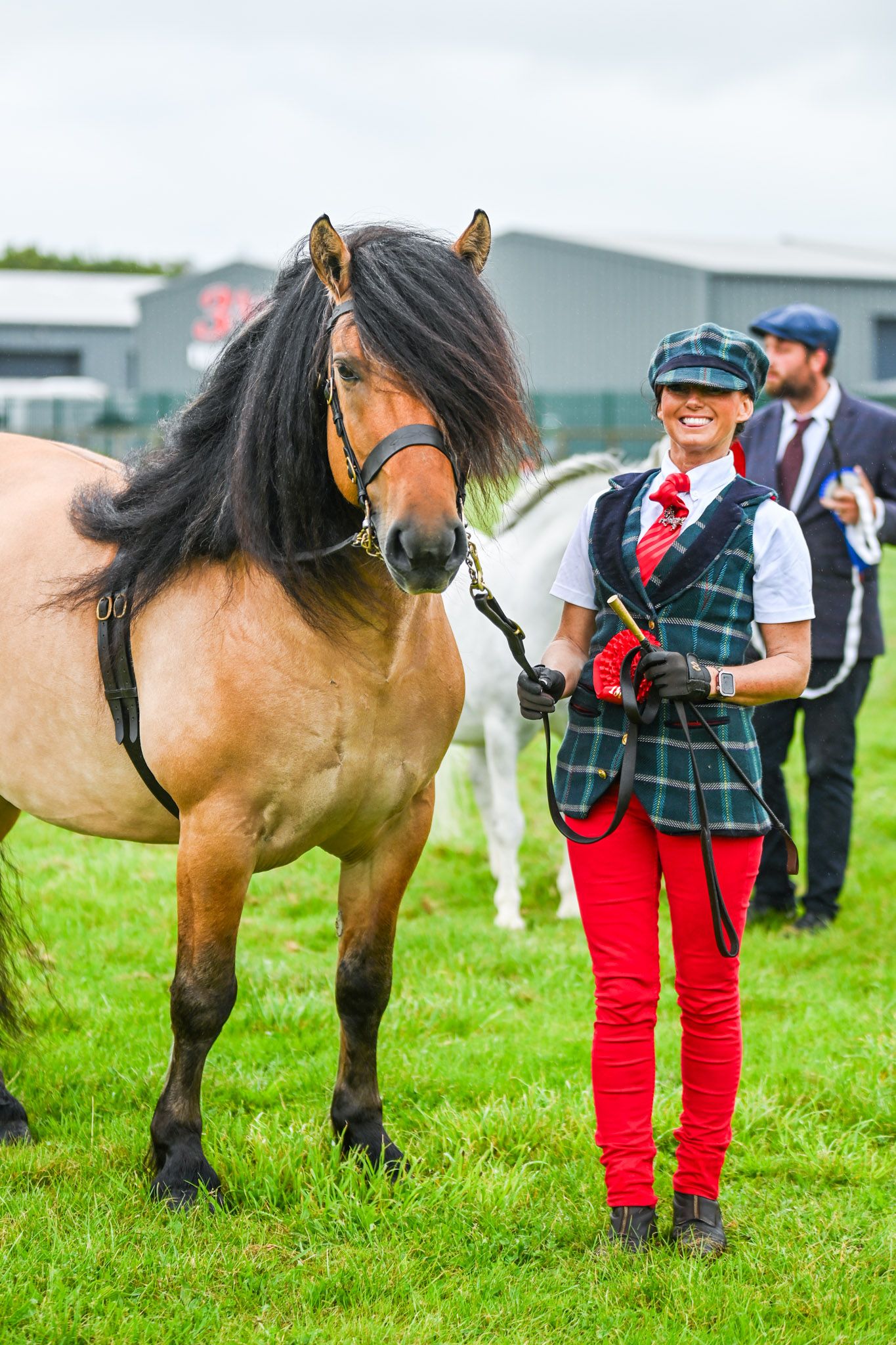 Horse show participant in red pants leading a bay horse across green field.