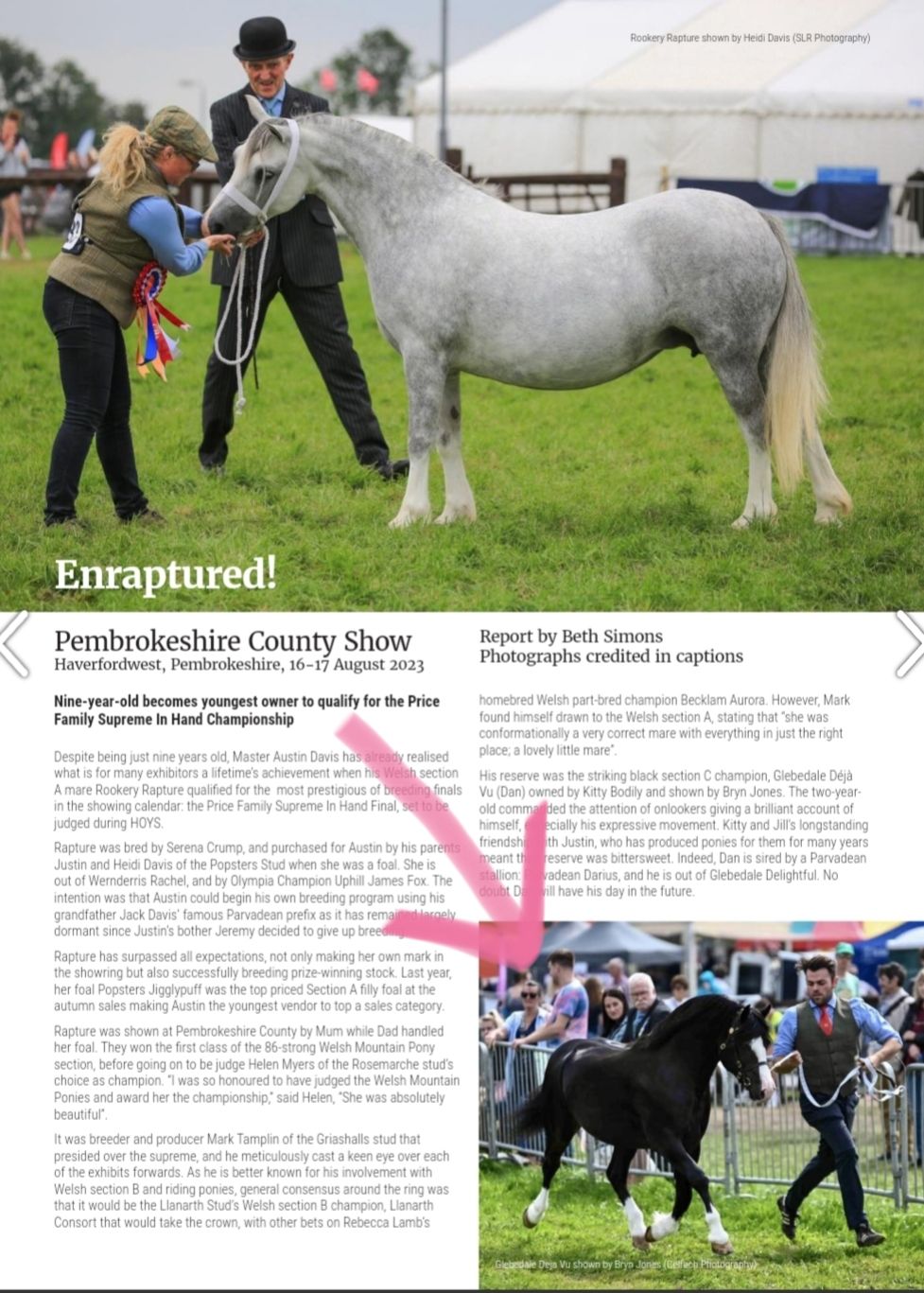 A gray dappled pony is being shown at the Pembrokeshire County Show with handlers on a grassy field.