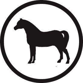 Black silhouettes of various zoo animals including giraffe, elephant, rhino and bear arranged in a horizontal line.