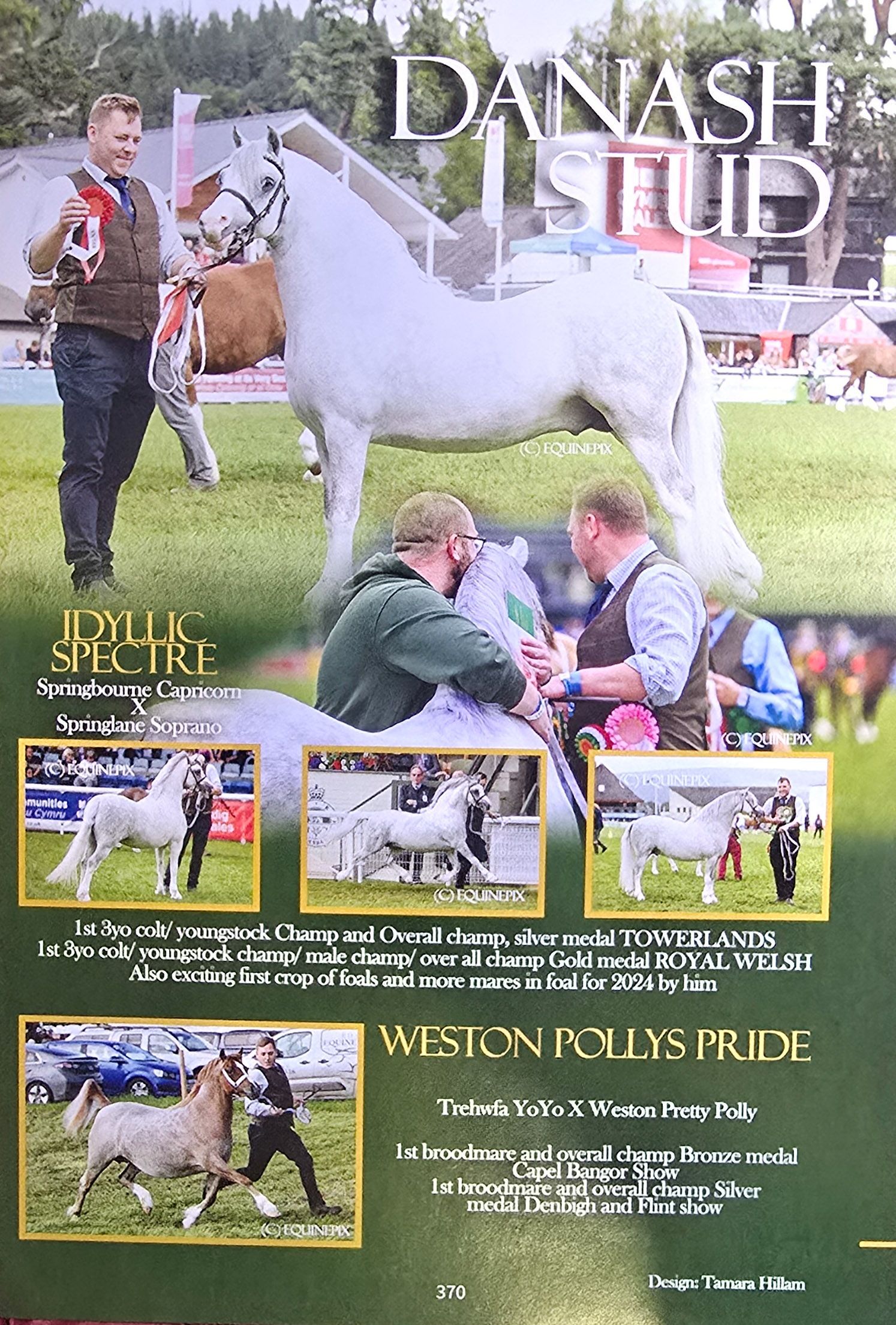 Show advertisement featuring a white pony stallion and handlers at Danash Stud farm events.