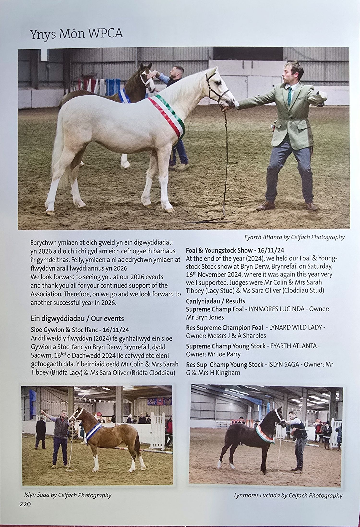 Horse show competition pages displaying various equestrian events and competition details in a catalog layout.