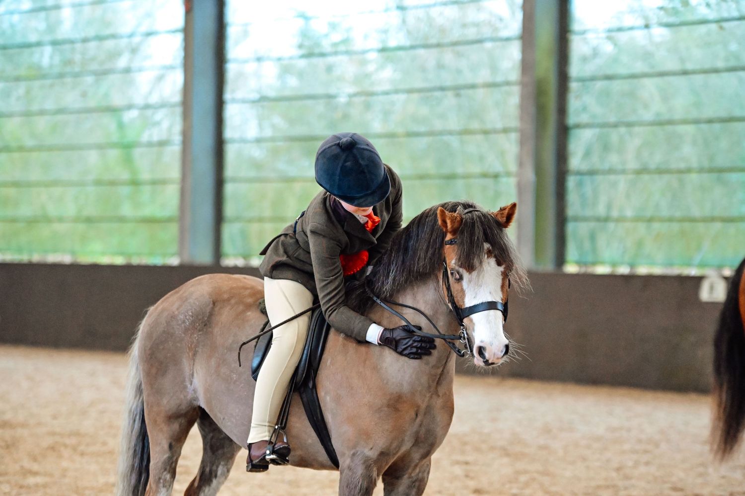 Young equestrian rider in black helmet leaning forward on brown pony in indoor riding arena.
