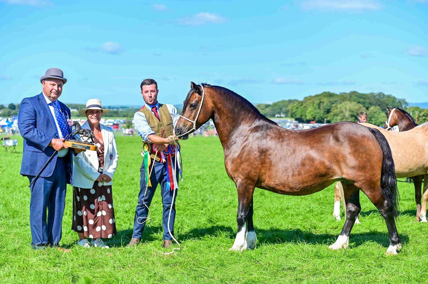 Horses and handlers lined up on grassy field during sunny day at rural show event.