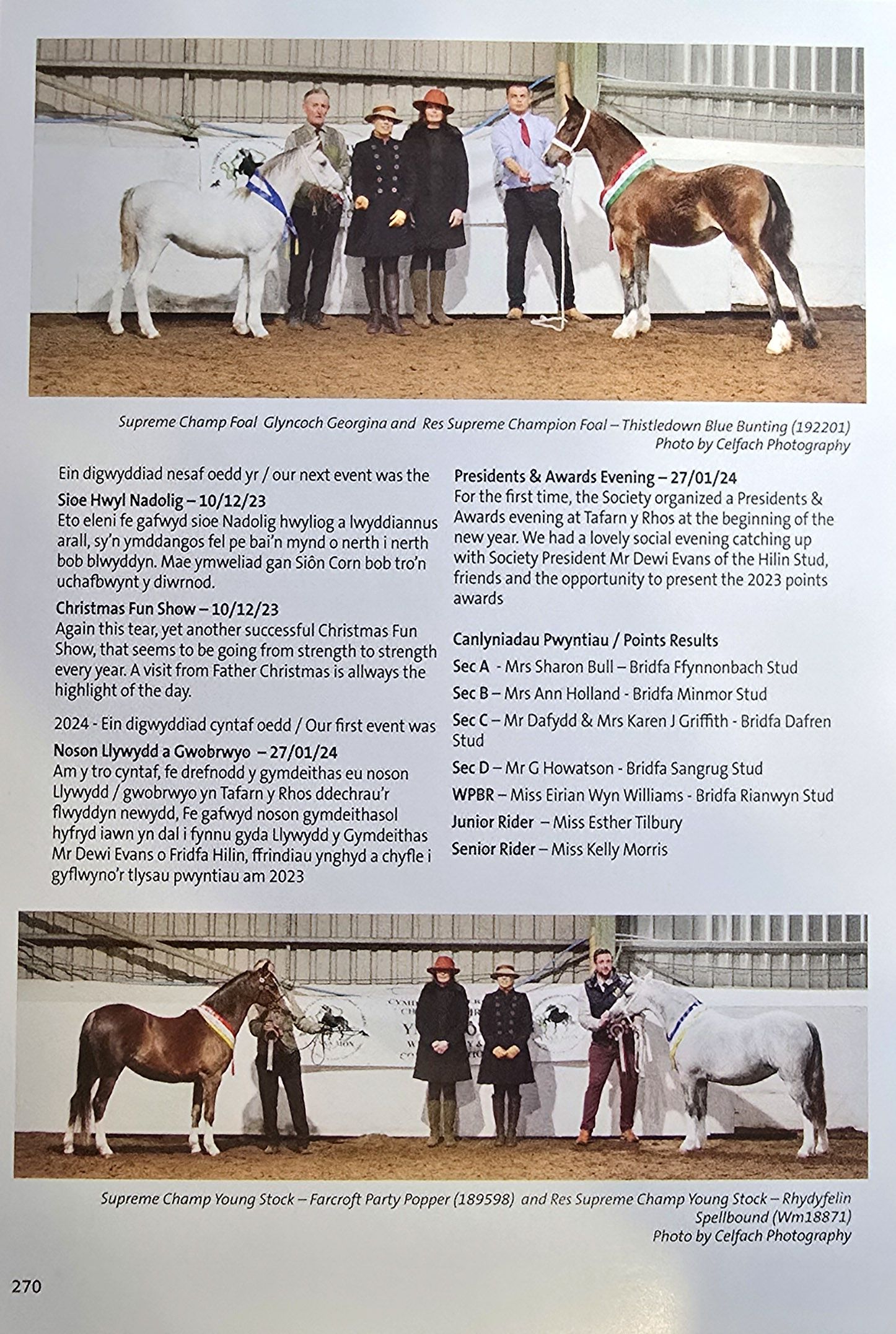 Multiple show horses and handlers stand in an arena setting during a competition or exhibition event.