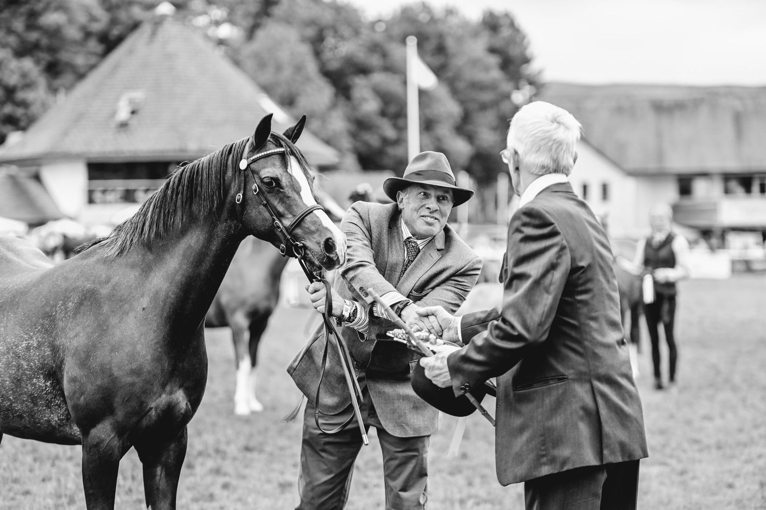 Series of black and white photos showing horse care and preparation at an equestrian event.