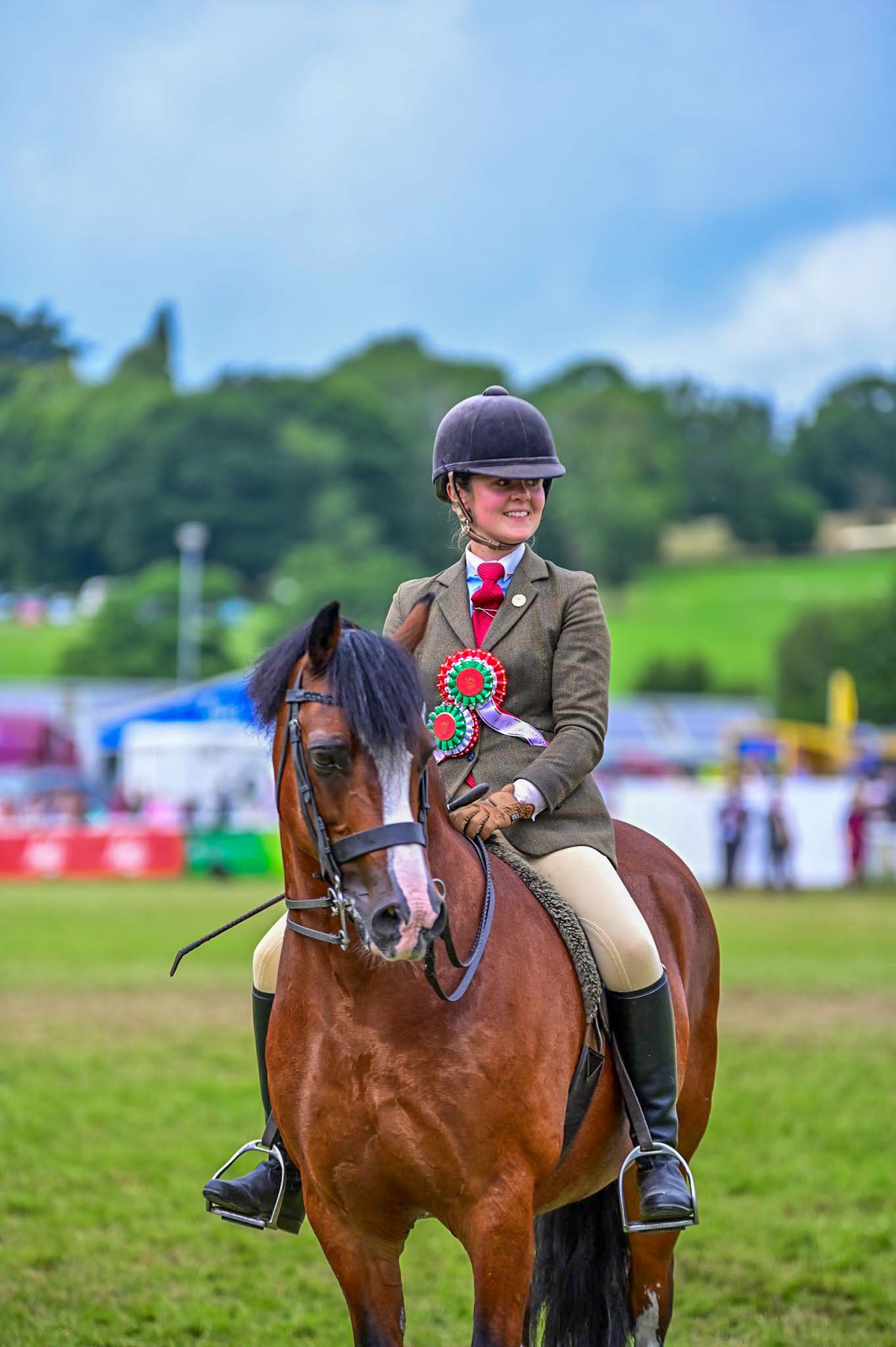 Equestrian competitor on bay horse wearing formal show attire and red competition ribbon.