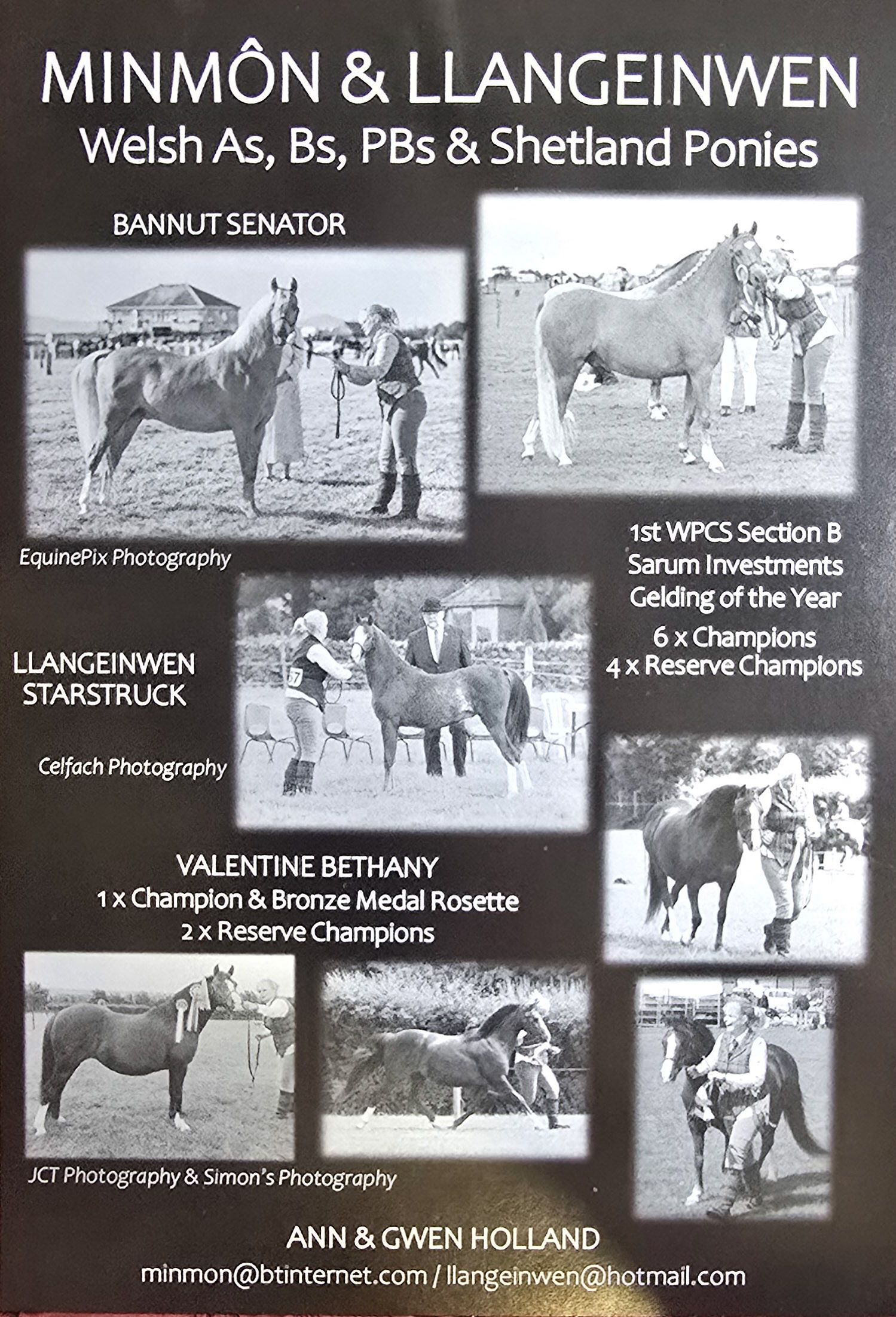 A black and white collage banner showcasing Welsh pony champions and equestrian photography.