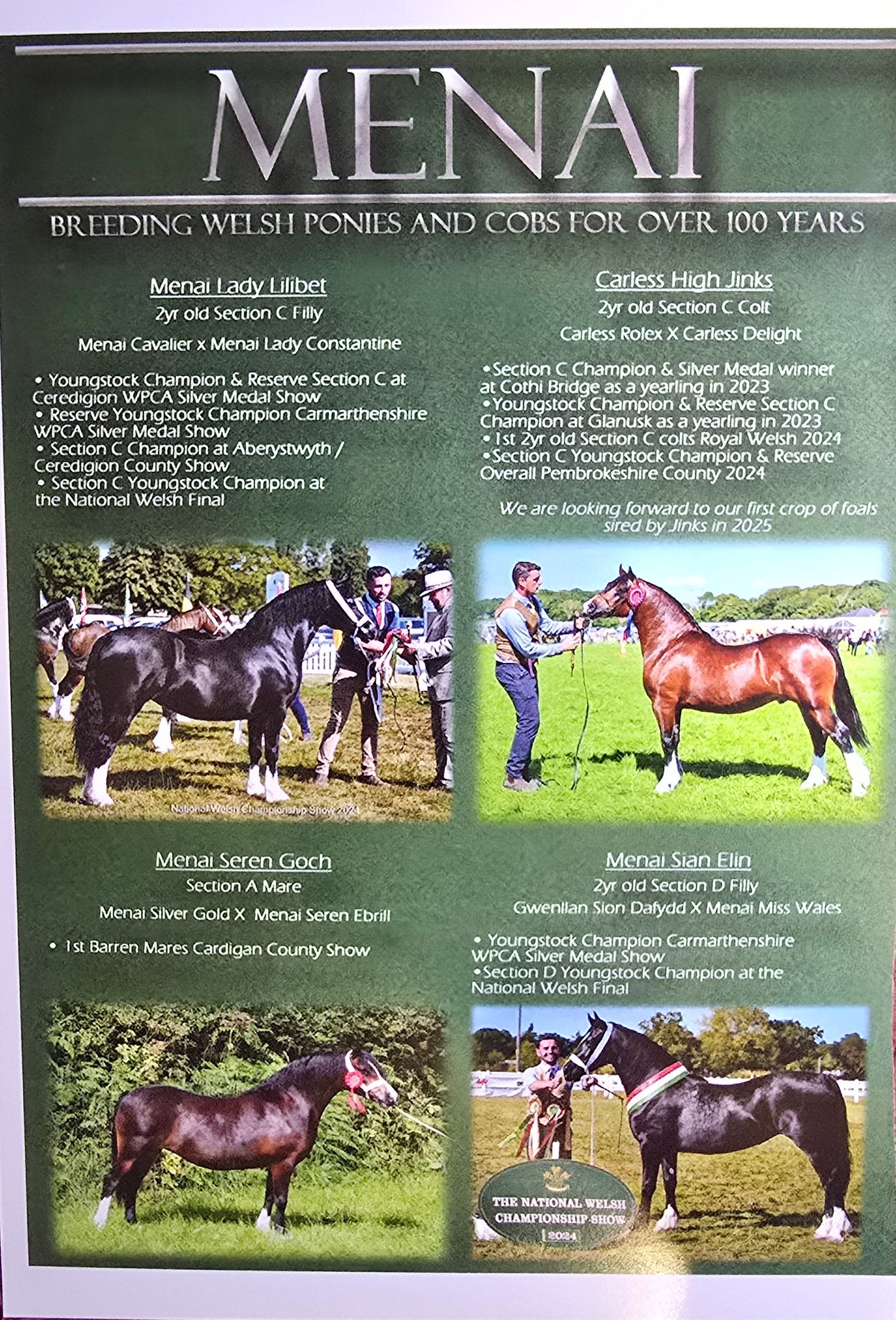 Vintage-style display board showcasing four Welsh ponies and cobs from Menai stables with text about their breeding history.