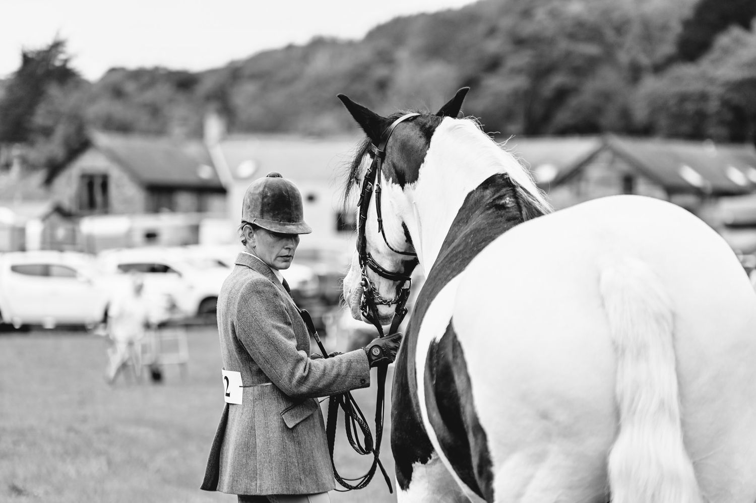 Black and white photo of horse judging at a traditional show event.