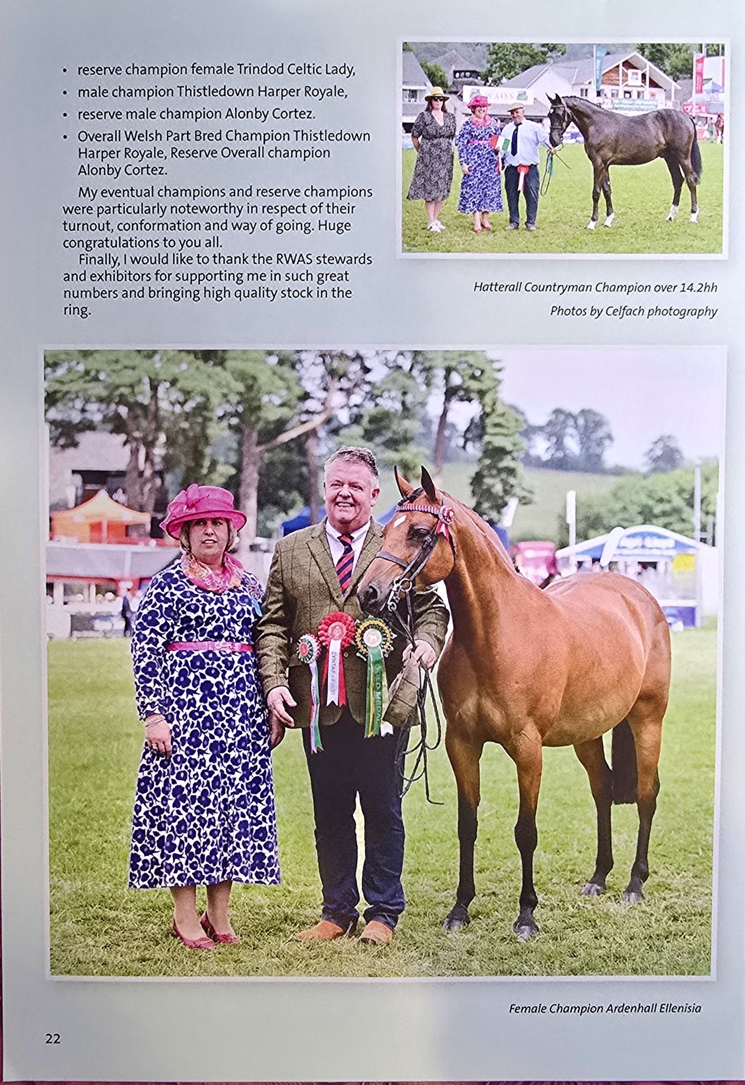 A collage of equestrian show photos featuring horses and handlers at an outdoor competition event.