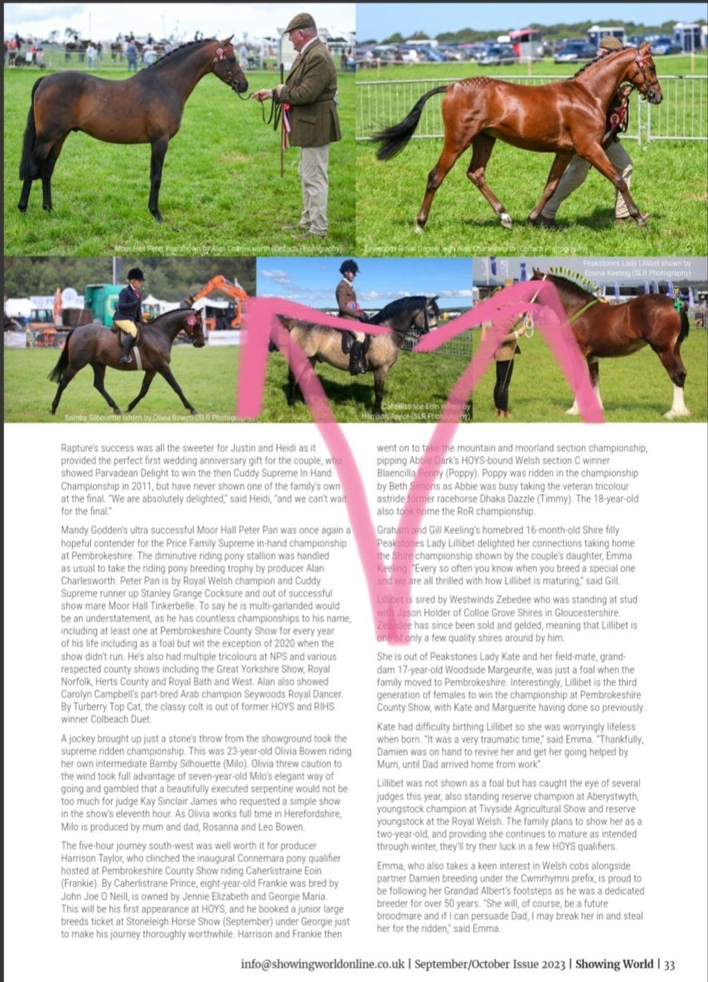 Multiple horses and handlers demonstrate movements and training exercises on a grassy field at an equestrian event.