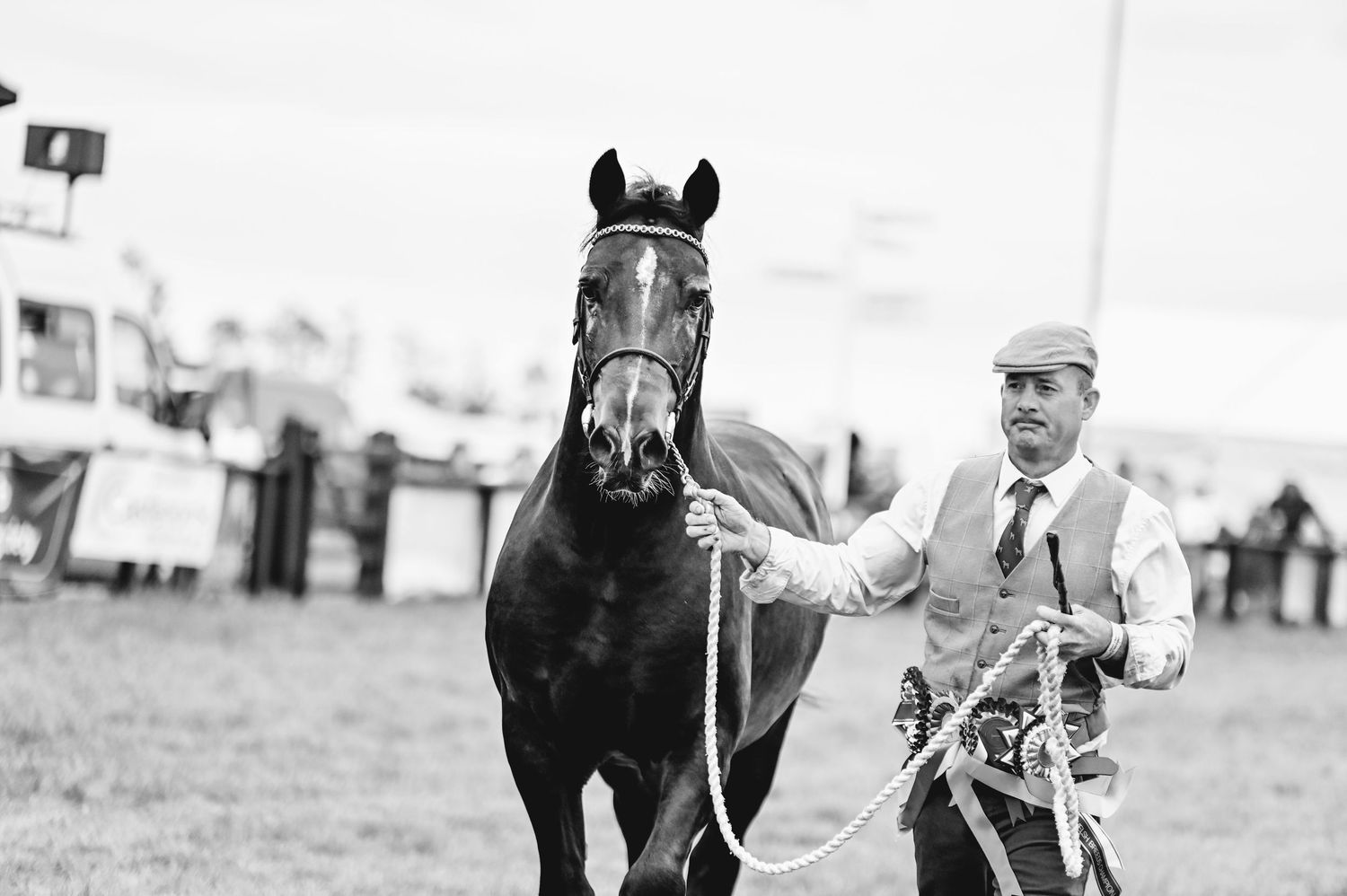 Vintage black and white photographs showing horses and handlers at a countryside show or fair.