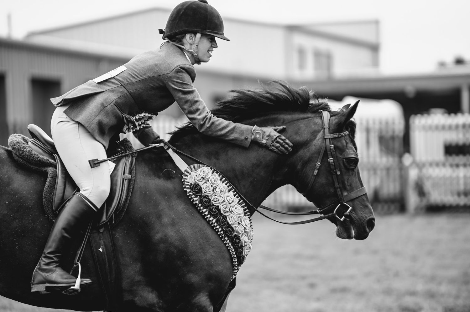 Dynamic black and white shots of equestrian show jumping competition in action.