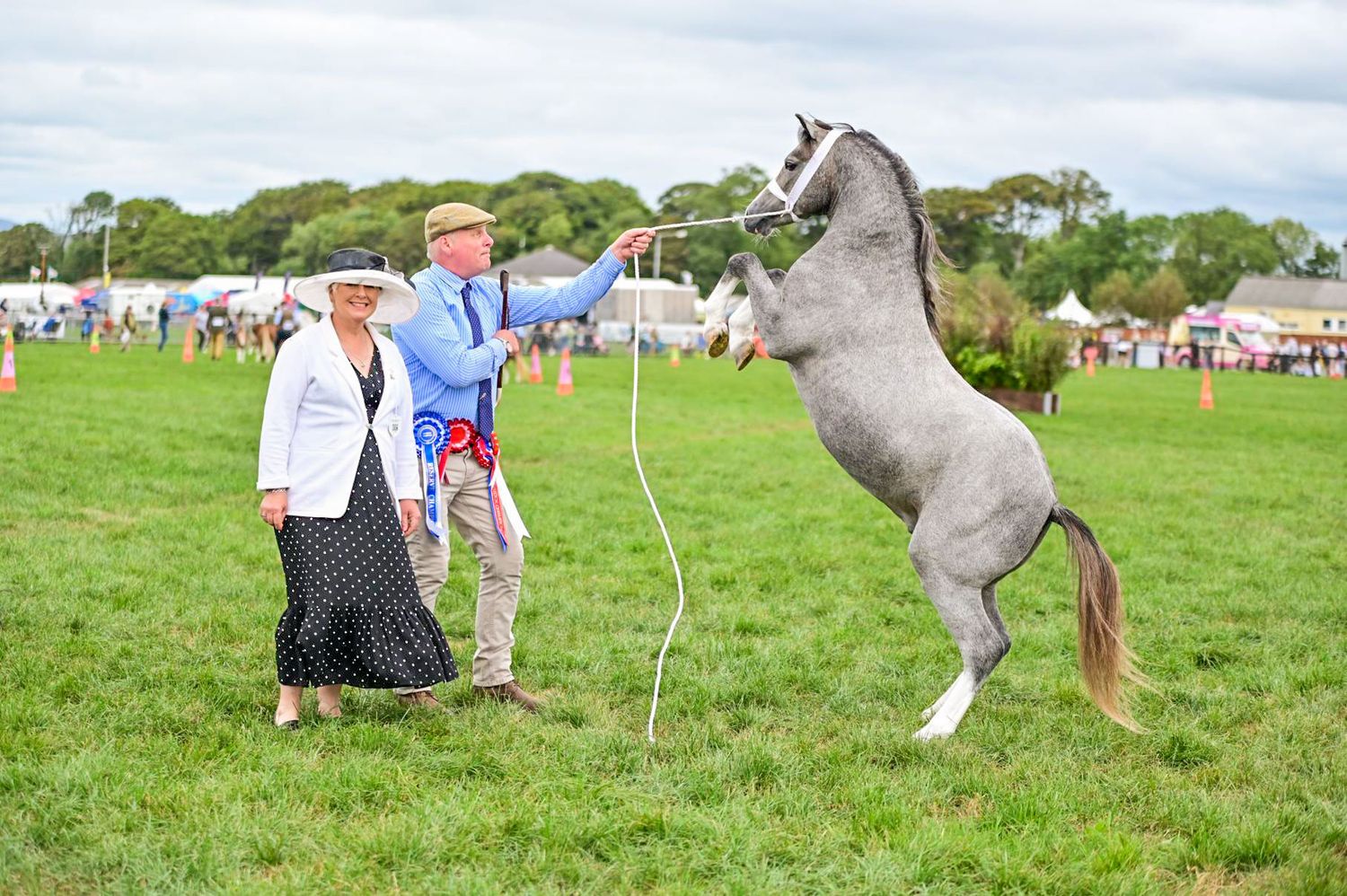 People and horses gathered on a grassy field at an outdoor equestrian competition.