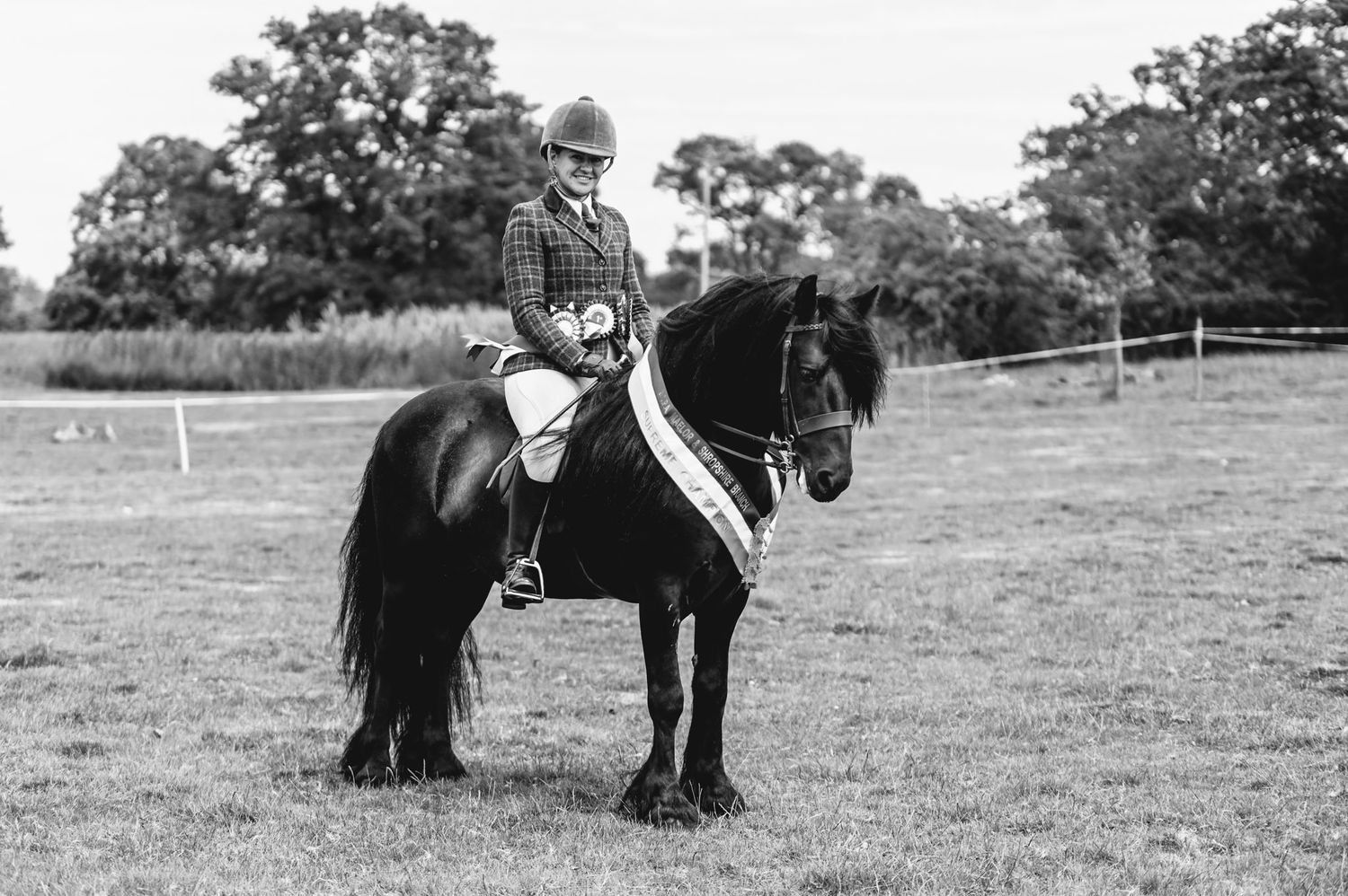 Horses and handlers gathered on a grassy field during an outdoor equestrian event.