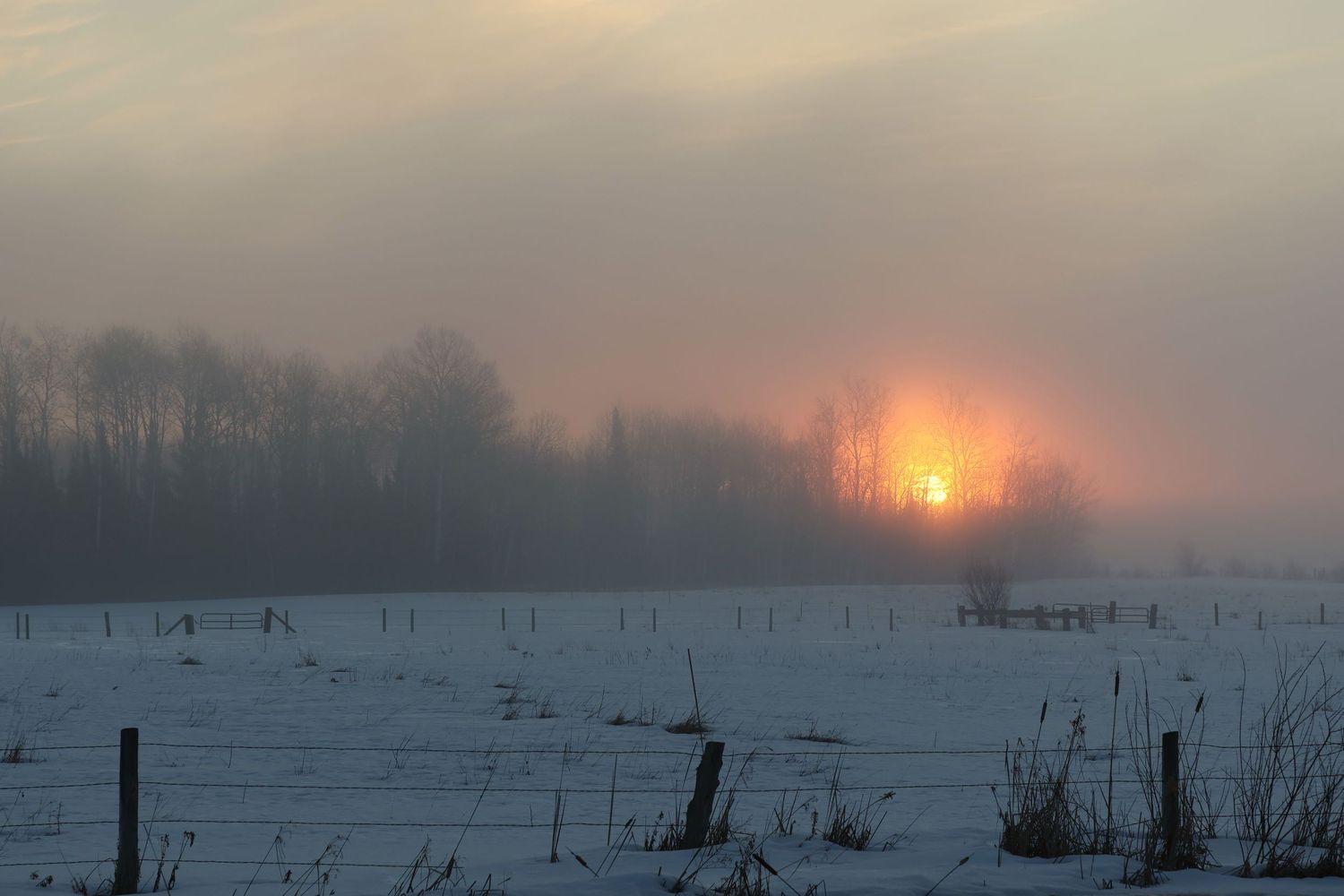 Foggy winter sunrise over snowy farmland in Northern Wisconsin, featuring warm light breaking through mist in a serene landscape photograph.