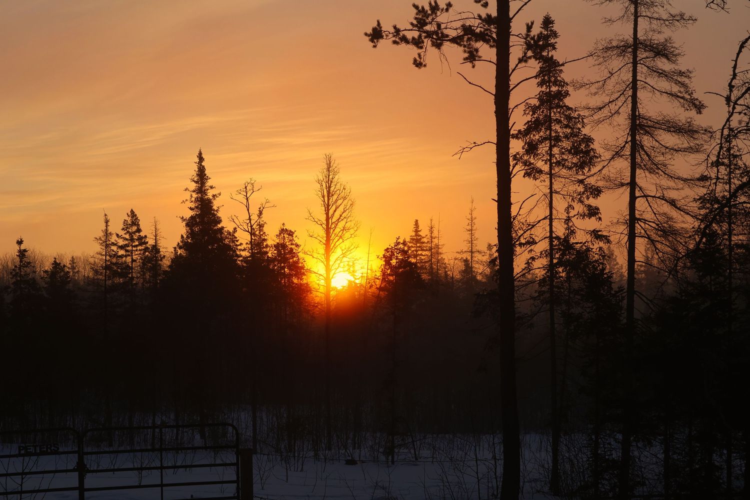 Fiery winter sunrise glowing through silhouetted Northwoods trees in Northern Wisconsin, captured as a dramatic fine art landscape print.