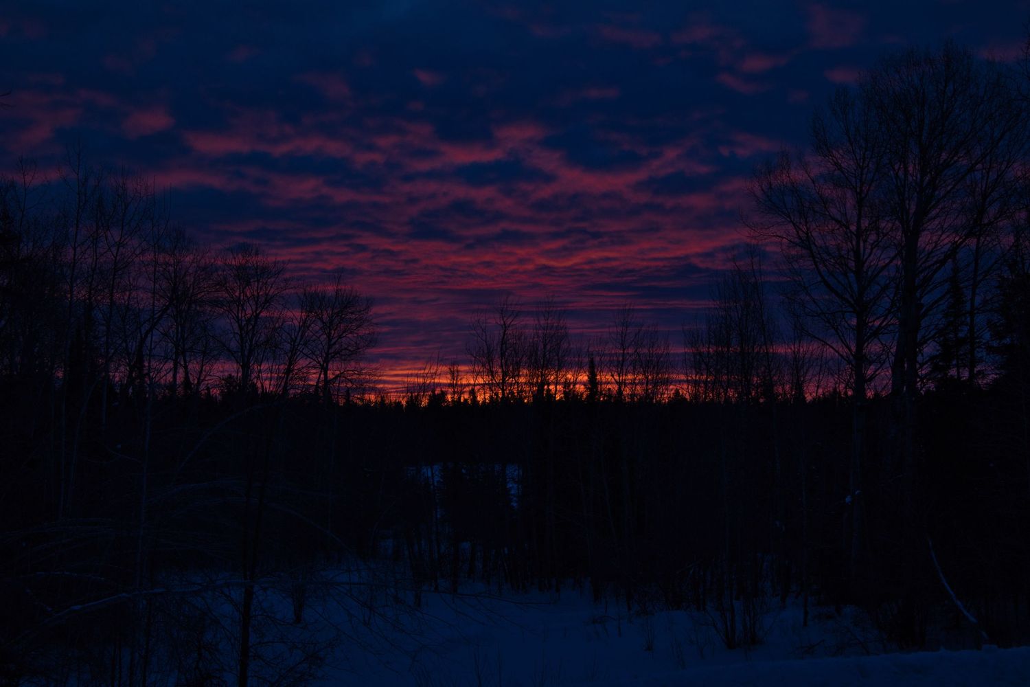 Colorful sunrise over the Northwoods of Northern Wisconsin with silhouetted trees and a calm winter landscape.