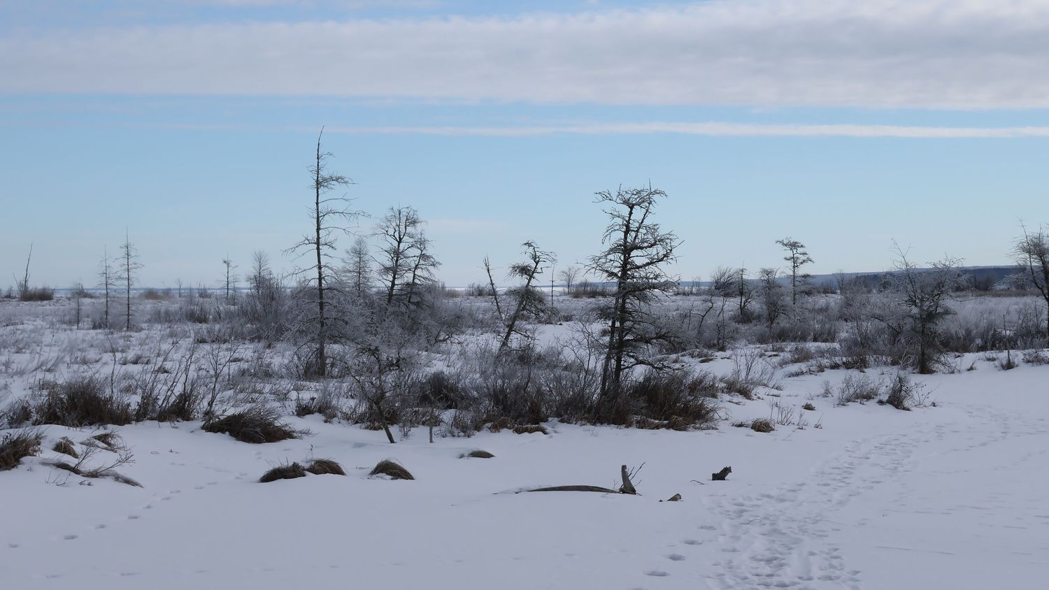 Quiet winter landscape with snow-covered ground and distant trees under a pale blue sky in Northern Wisconsin.