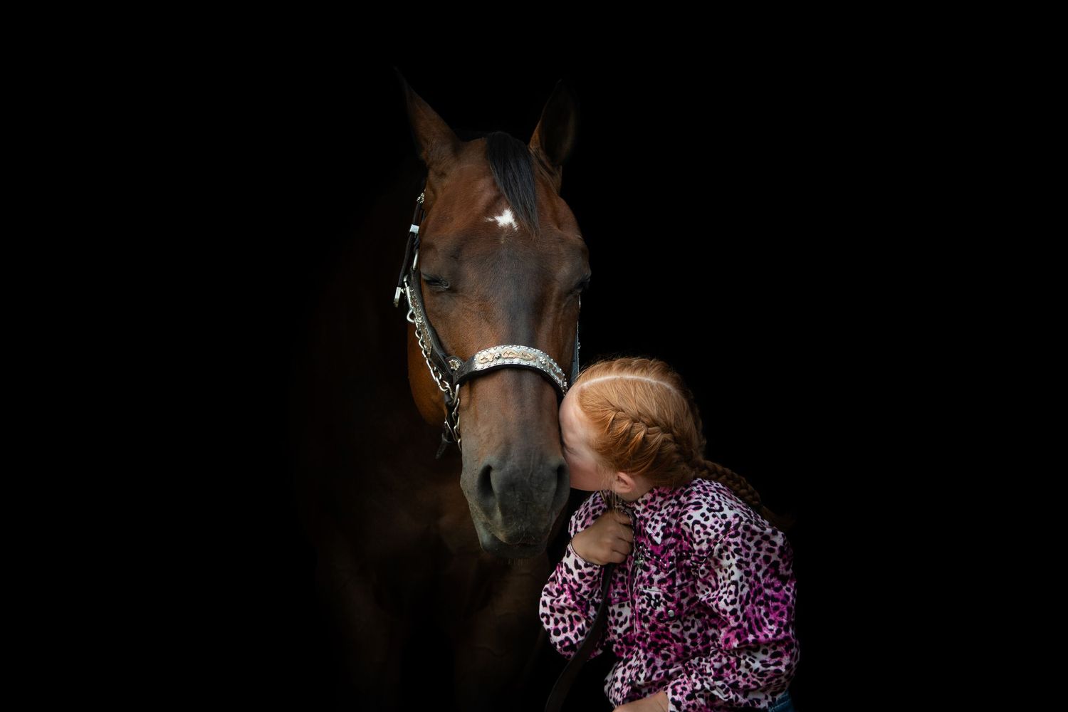 Black Background of Horse & Rider