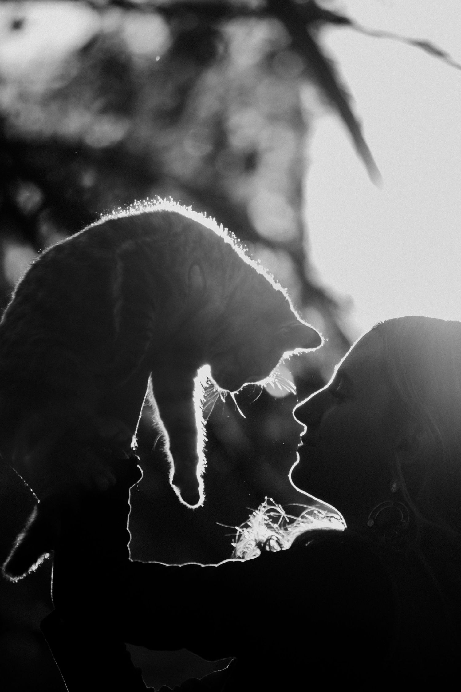 Fall Photo of a Girl with her Cat