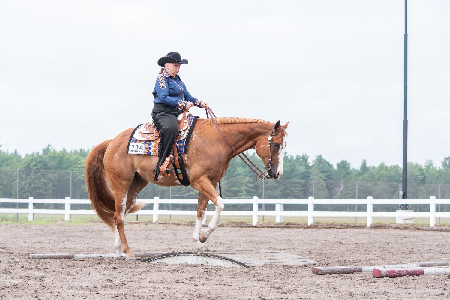 Horse & Rider, at Horse show, trail class