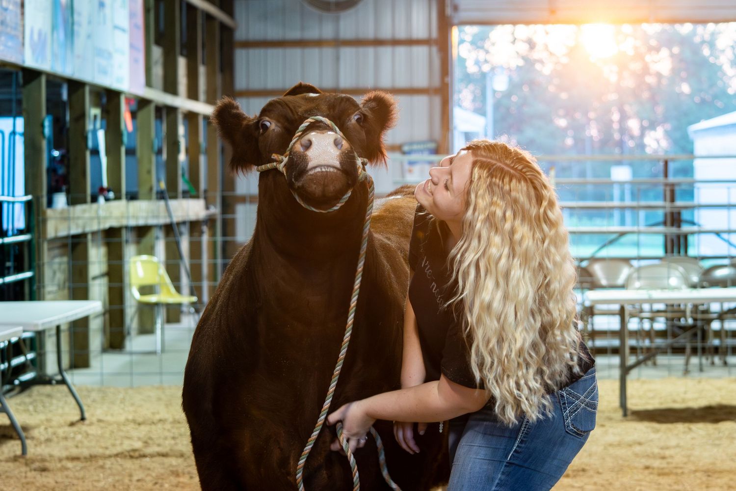 Portrait of Showman & Large Beef Steer at the Manistee Co Fair