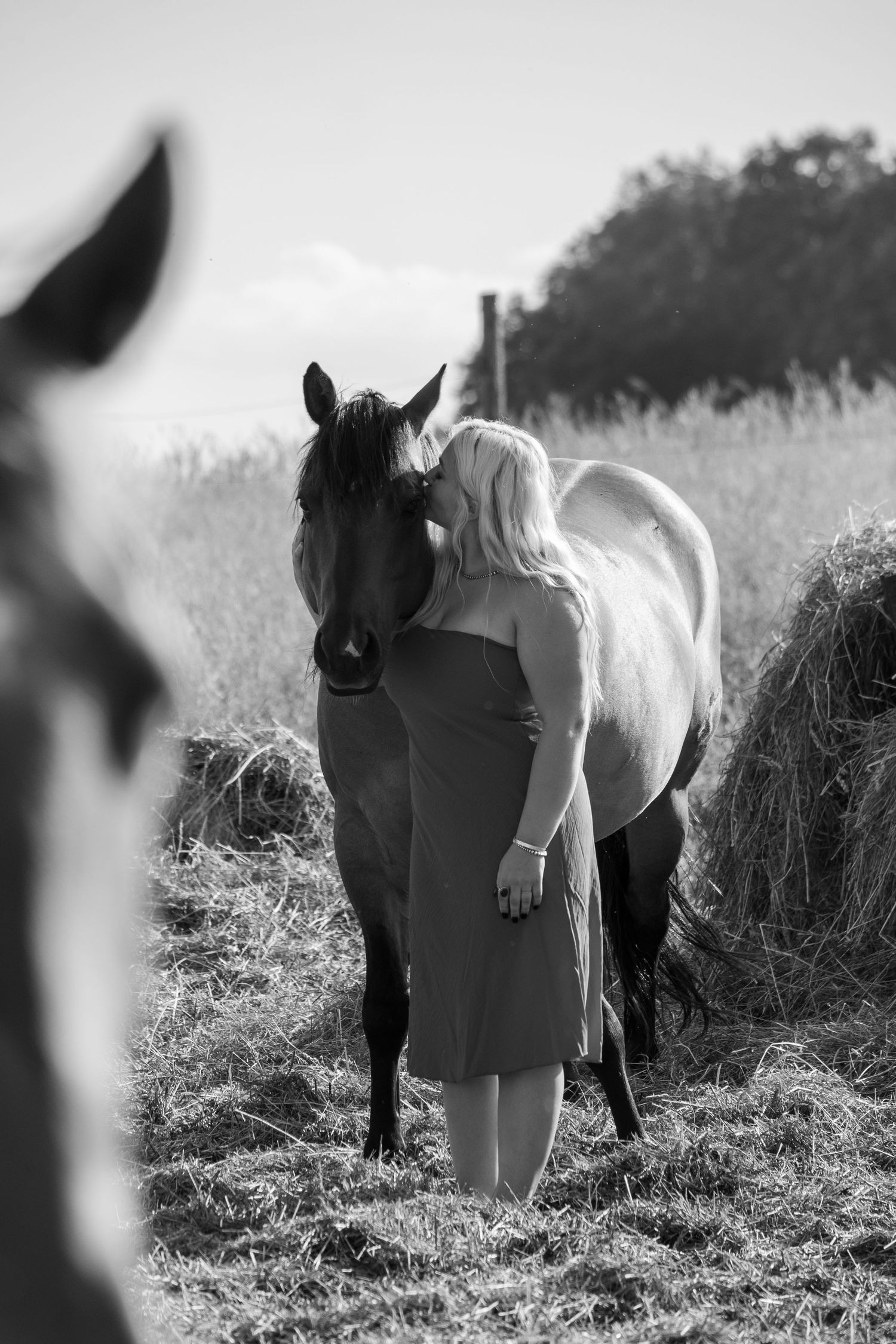 Summer Photo of a Girl with a Horse