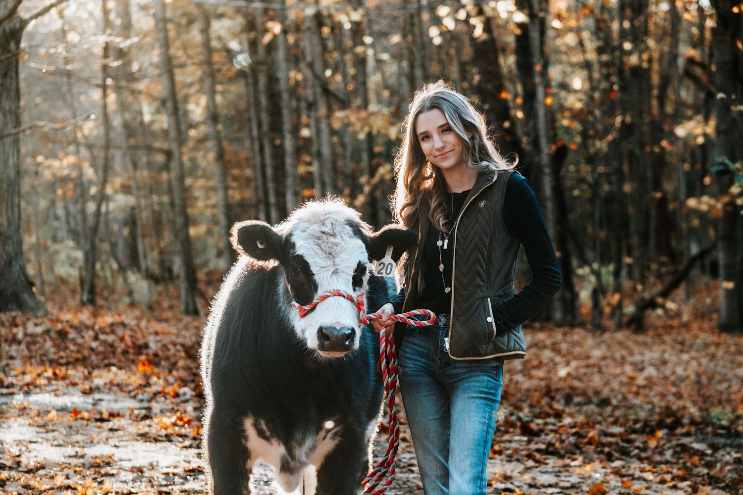Fall Photo of a Girl with her Large Beef Steer
