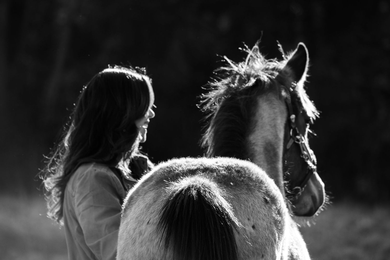 Summer Photo of a Girl with a Horse