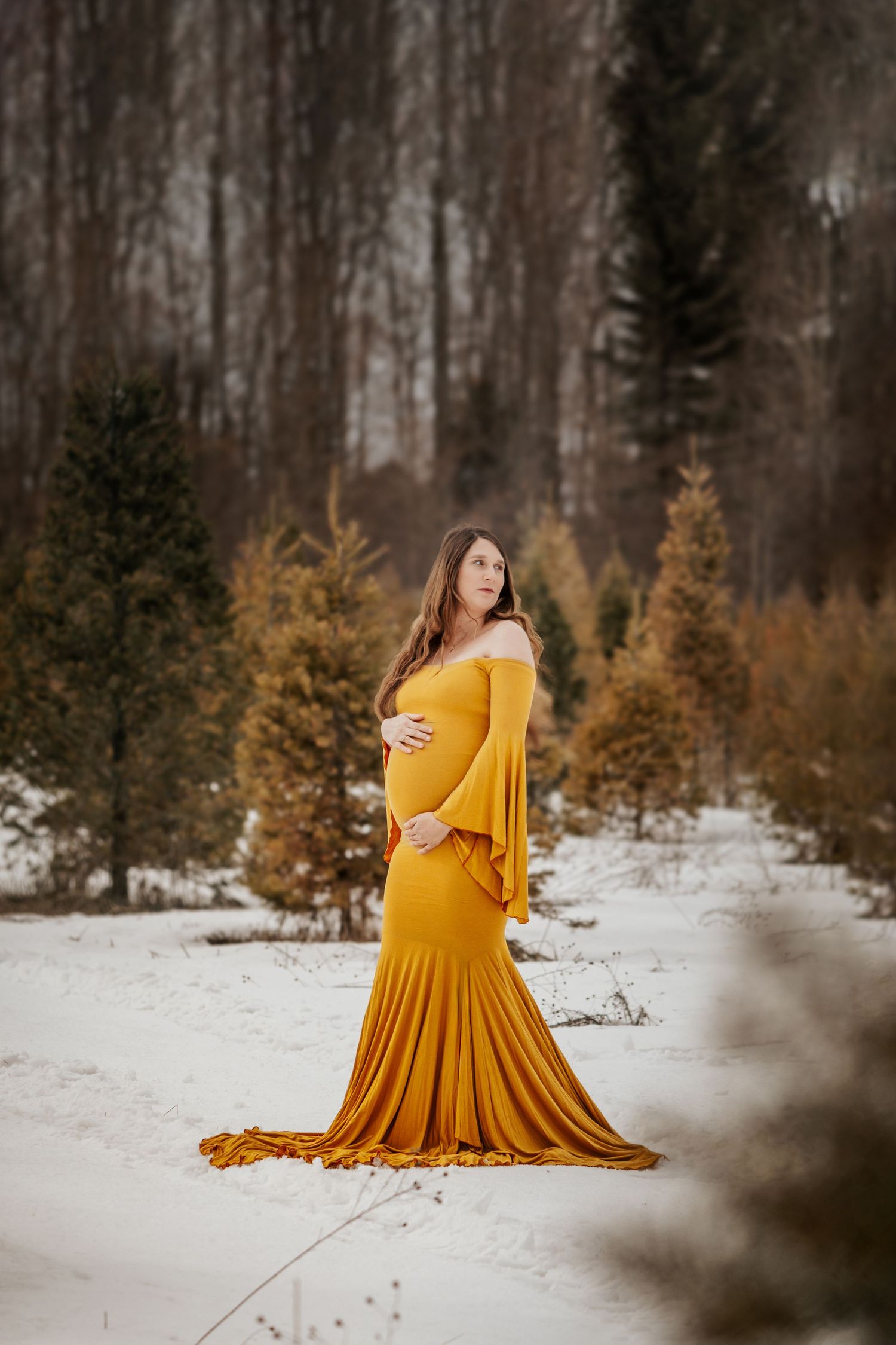Fall Maternity Portrait of a Girl